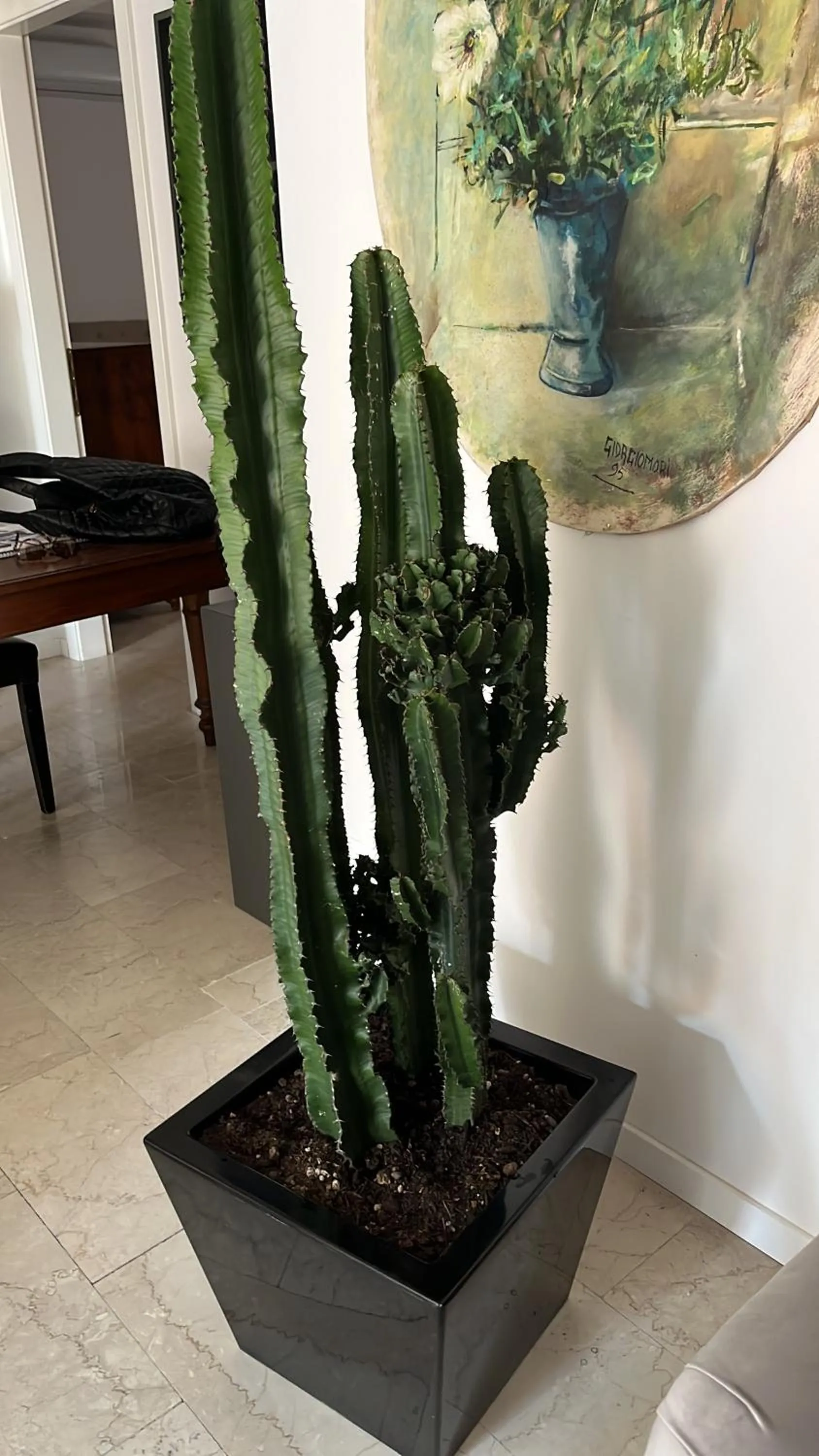 Decorative detail in Fleur Blanche