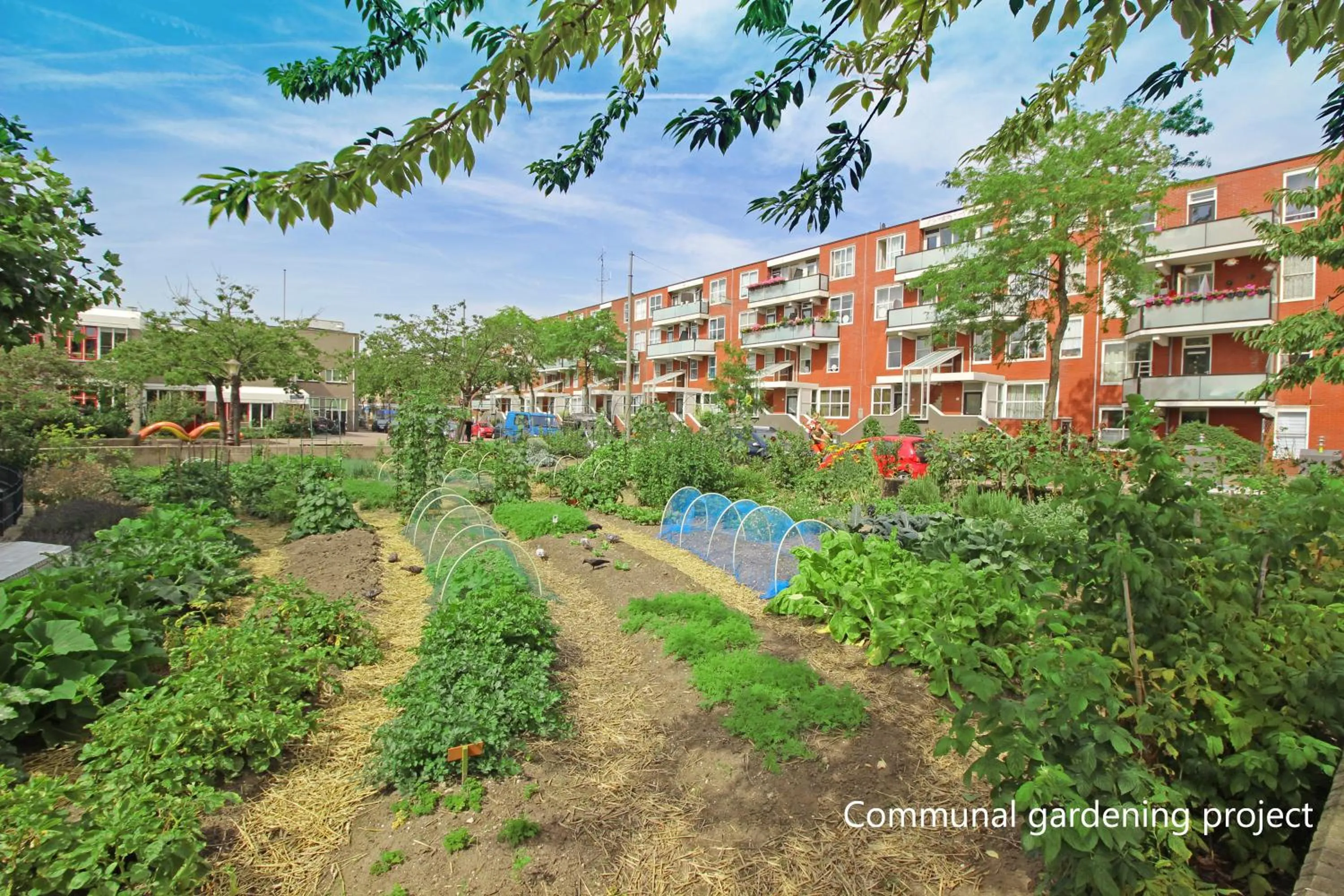 Neighbourhood in New monumental garden view Studio