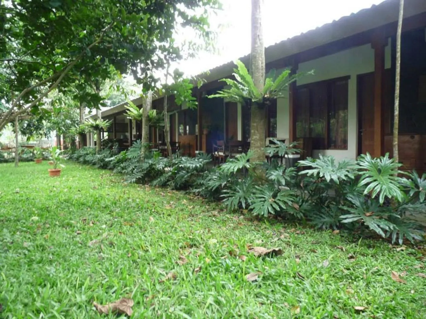 Garden in Ronia Mountain Villa Lembang
