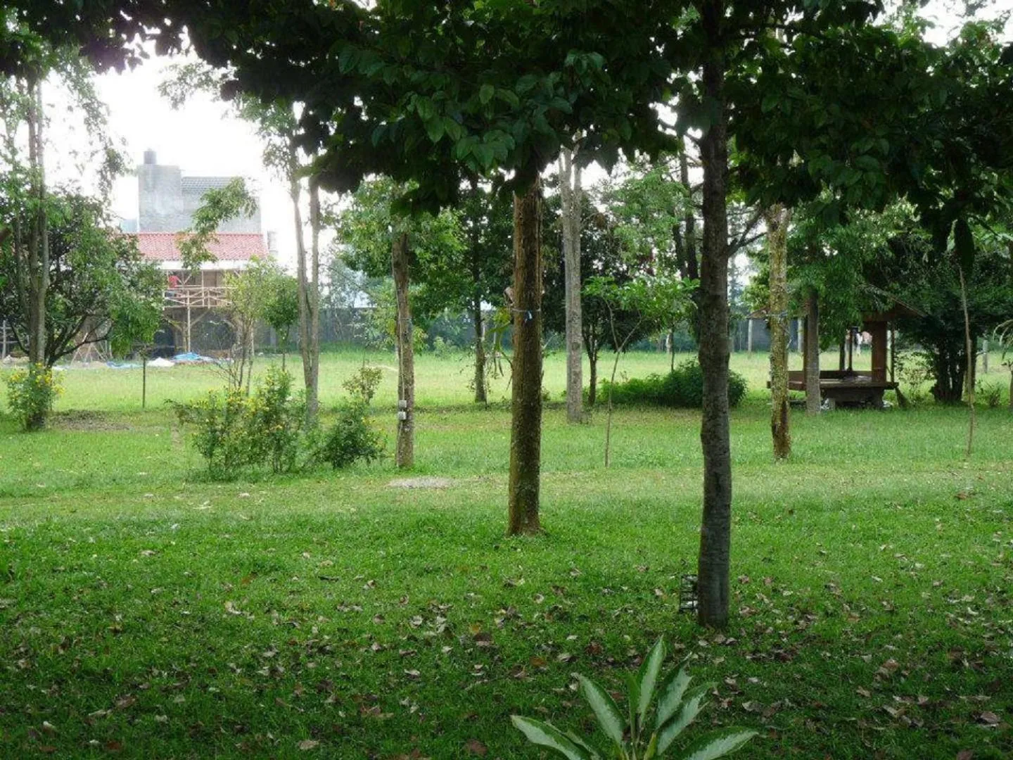 Garden in Ronia Mountain Villa Lembang