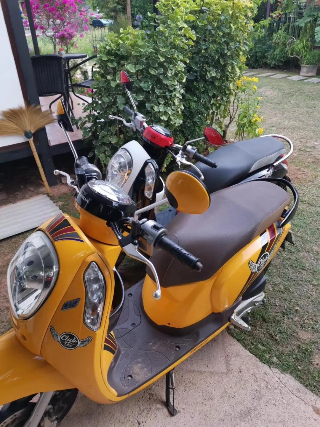 Area and facilities in Krabilife Resort