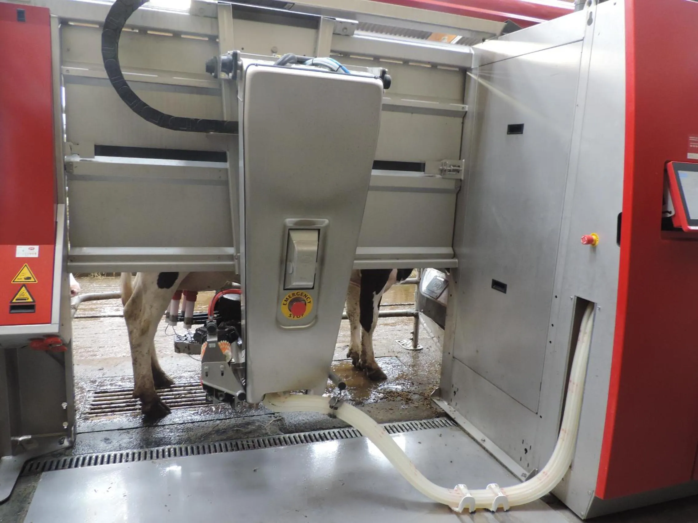 Pets in Ferme du Rupalley