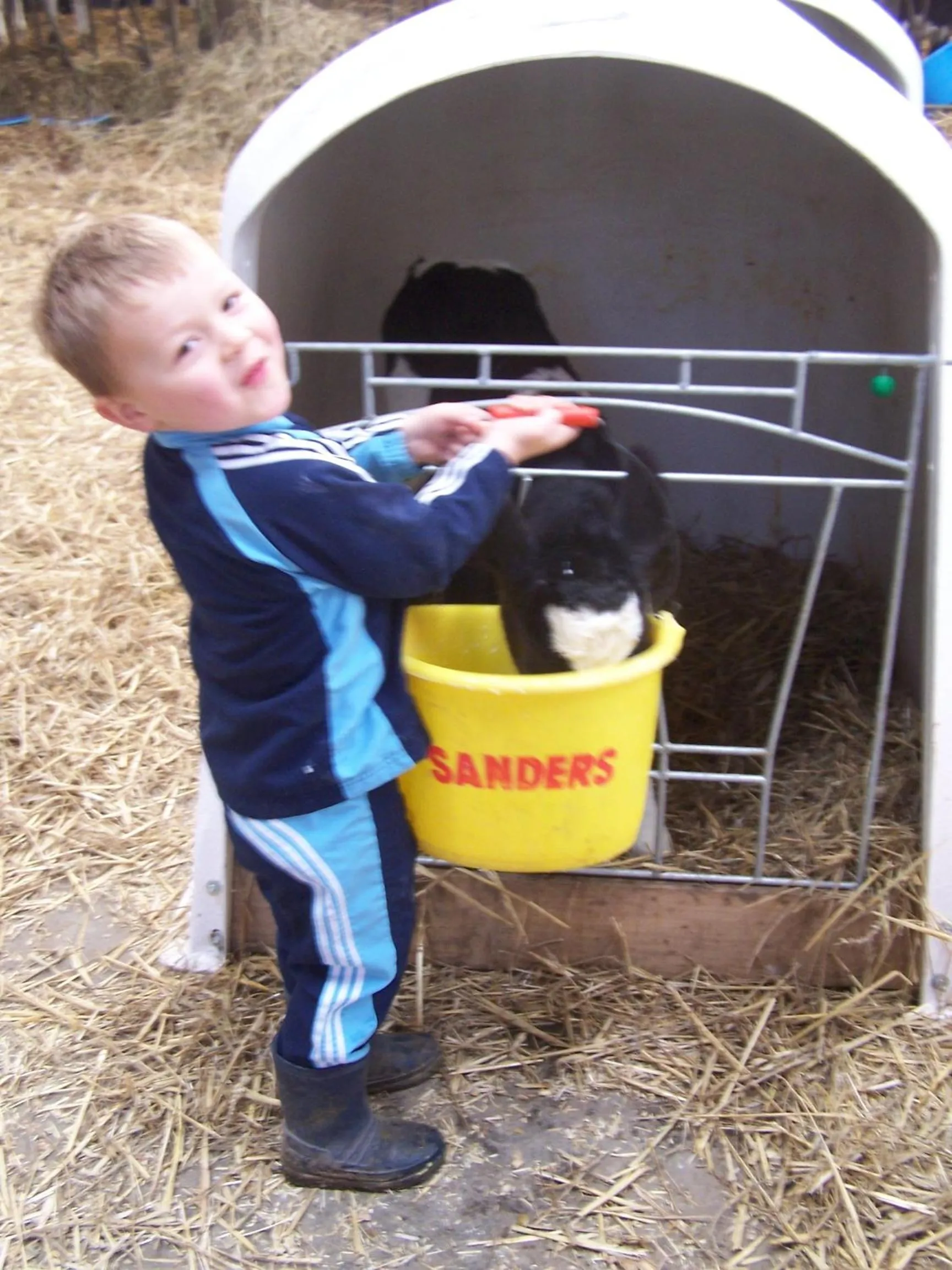 Animals in Ferme du Rupalley