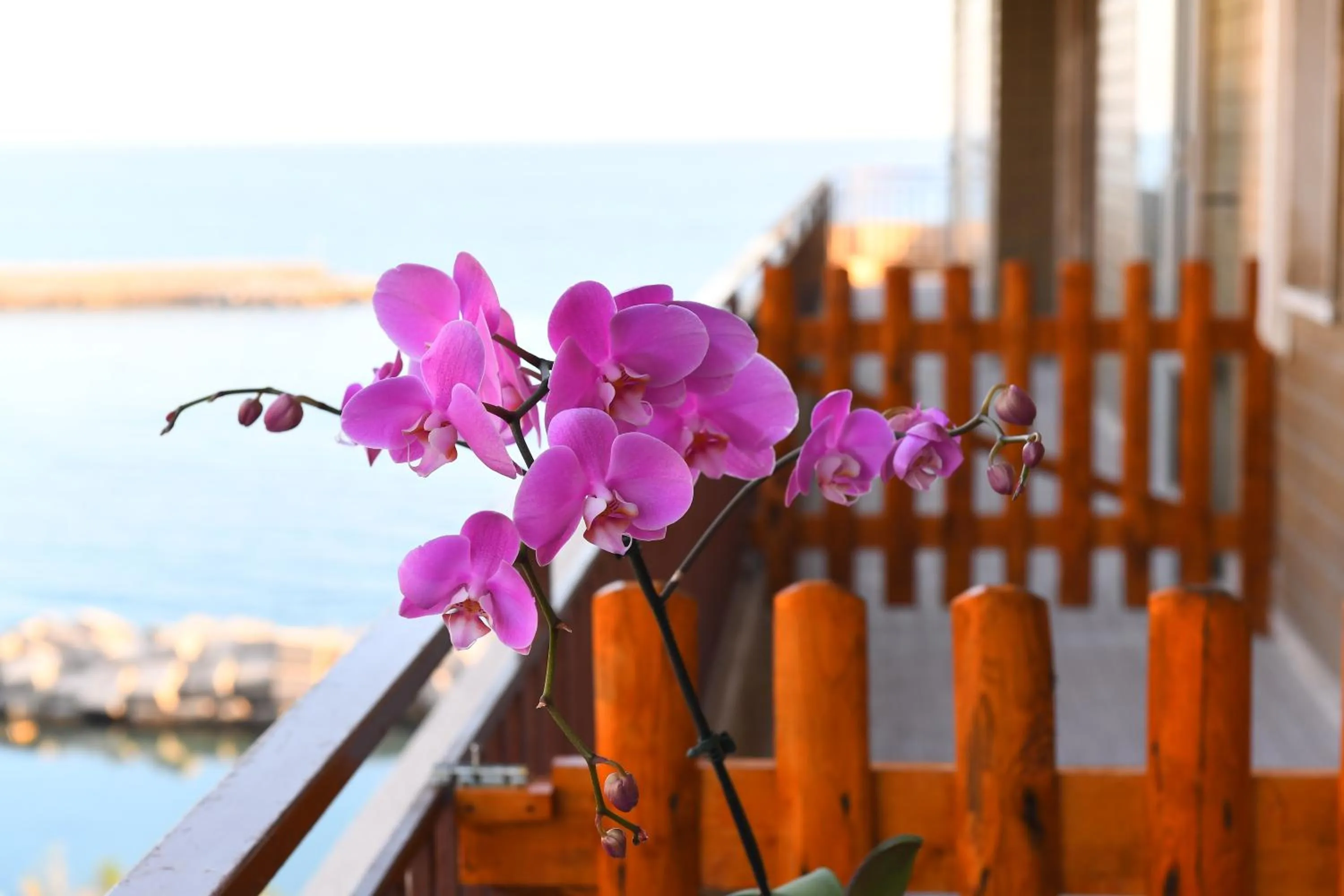 Balcony/Terrace in Attico 195