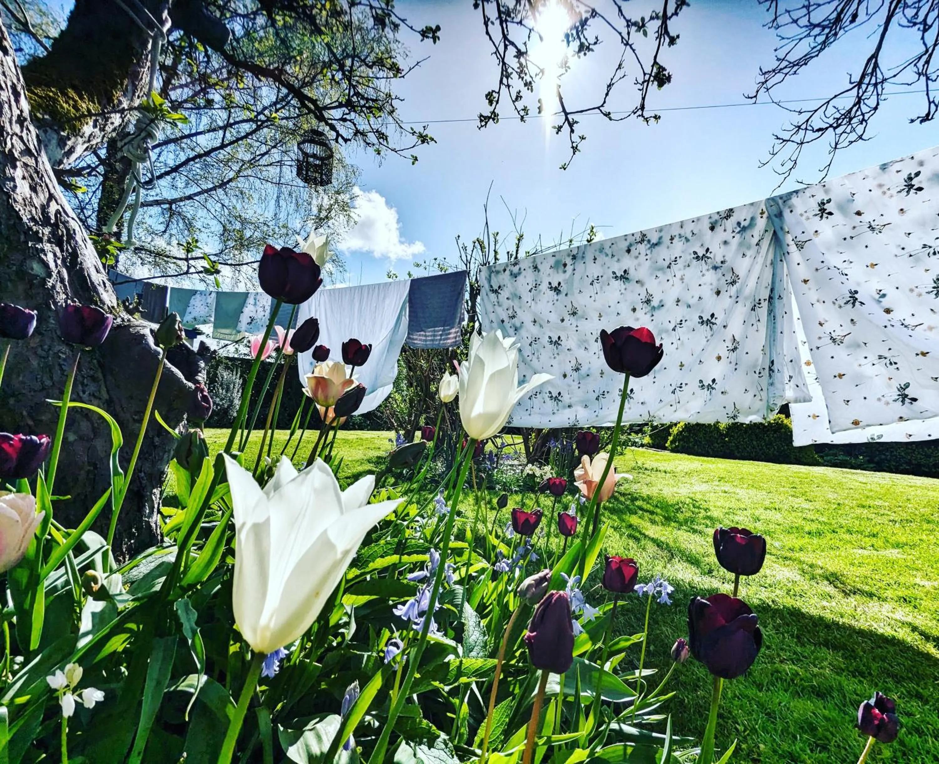 Property building in The Dorm Bed and Breakfast