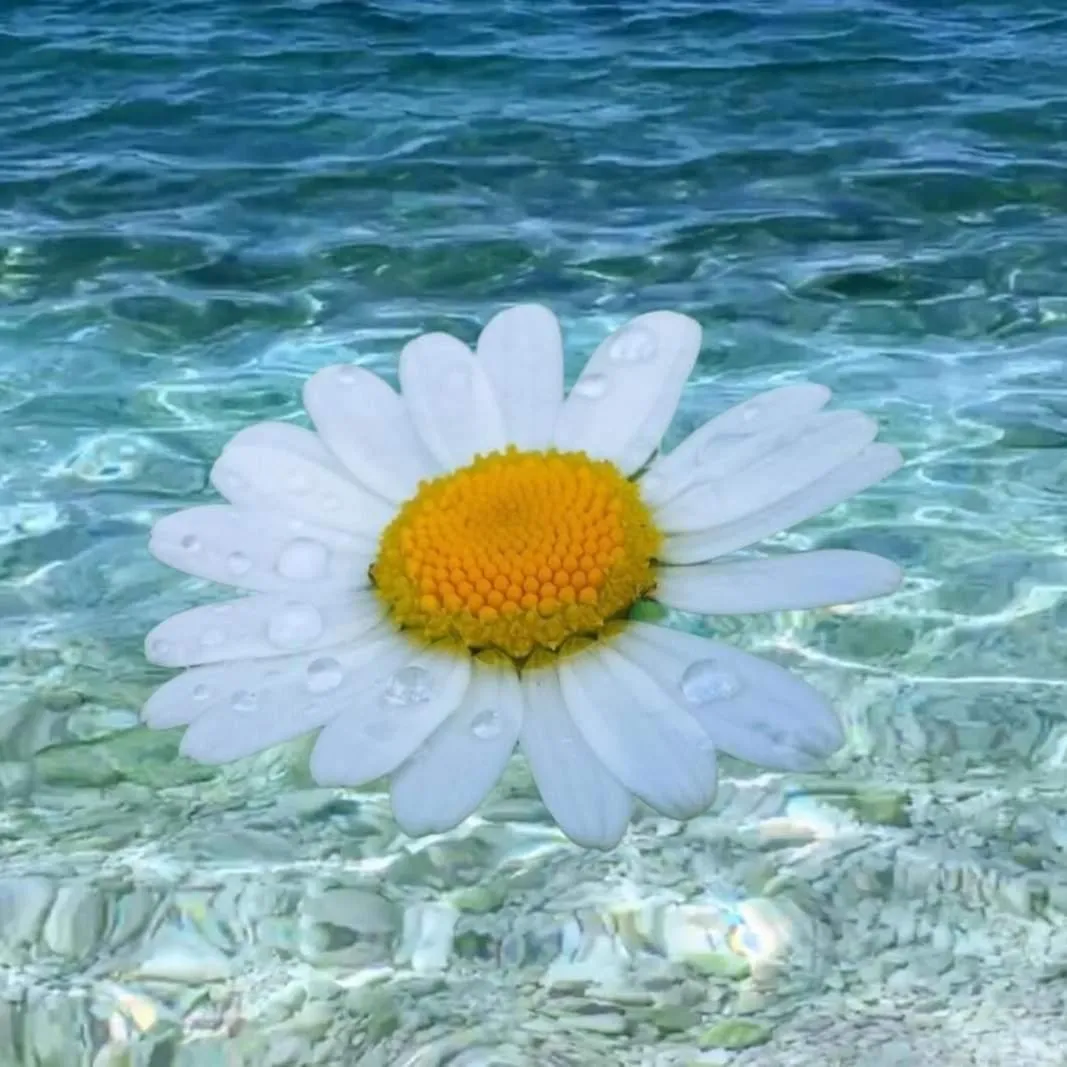 Apartments Slavica Trogir