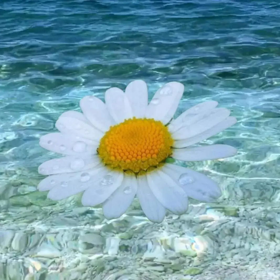 Apartment (2 Adults) in Apartments Slavica Trogir Apartment (2 Adults) in Apartments Slavica Trogir