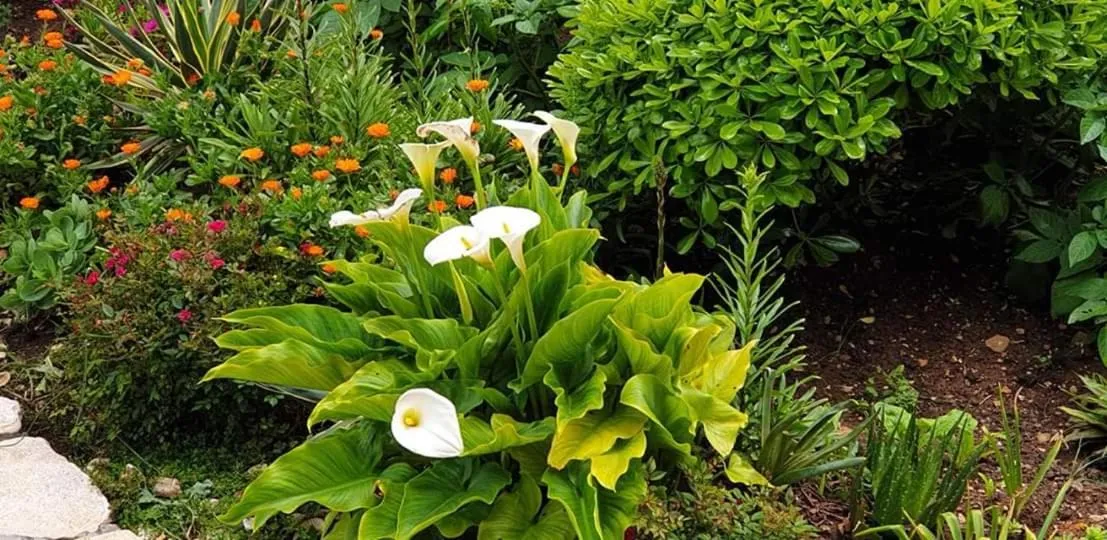 Apartments Slavica Trogir