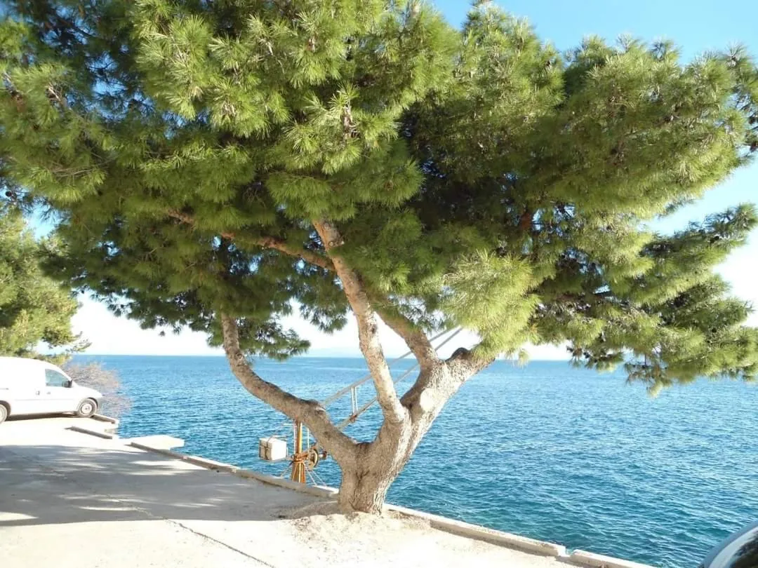 Apartments Slavica Trogir