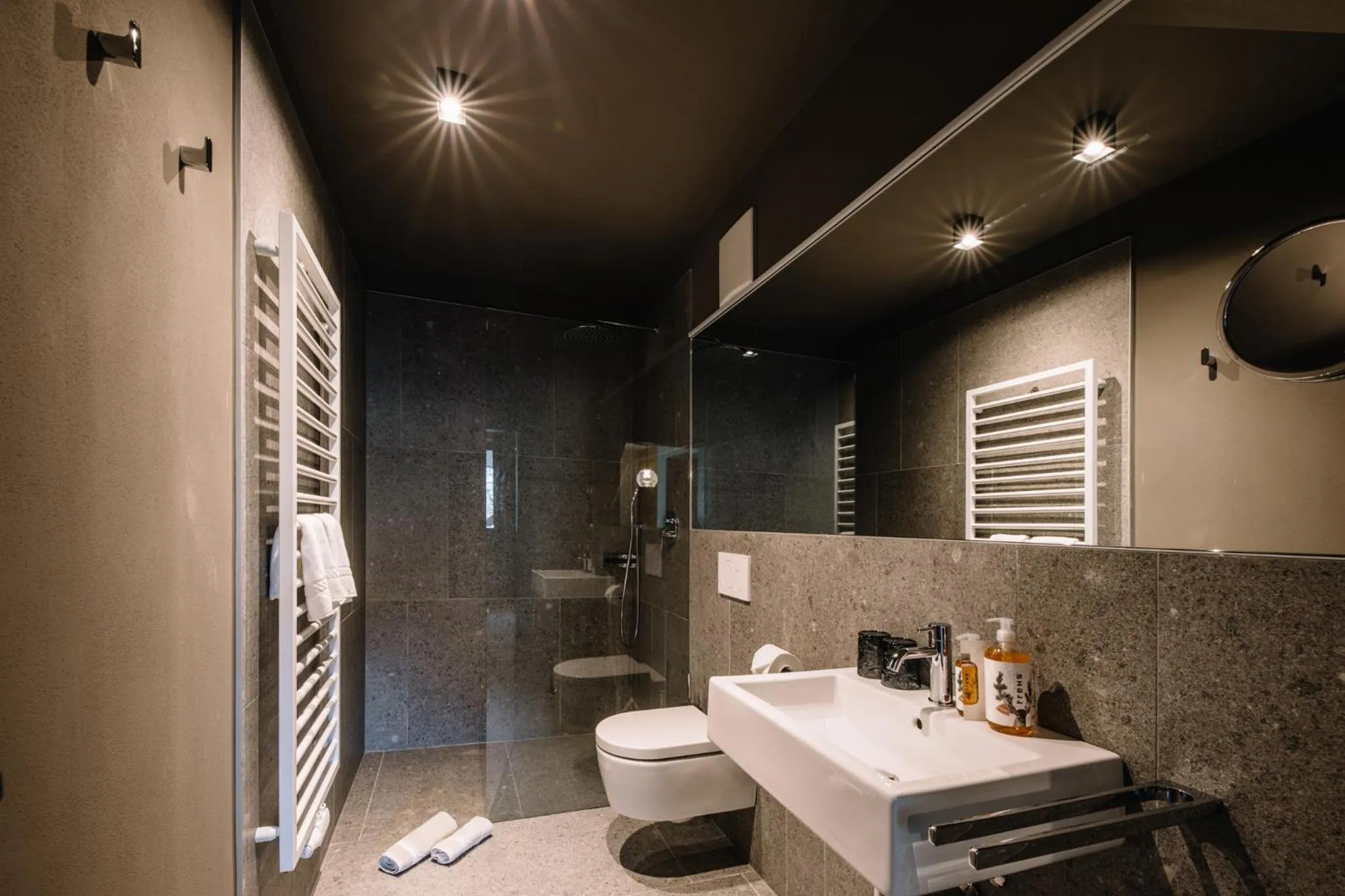 Shower in Panoramic Suites Winzerhöhe