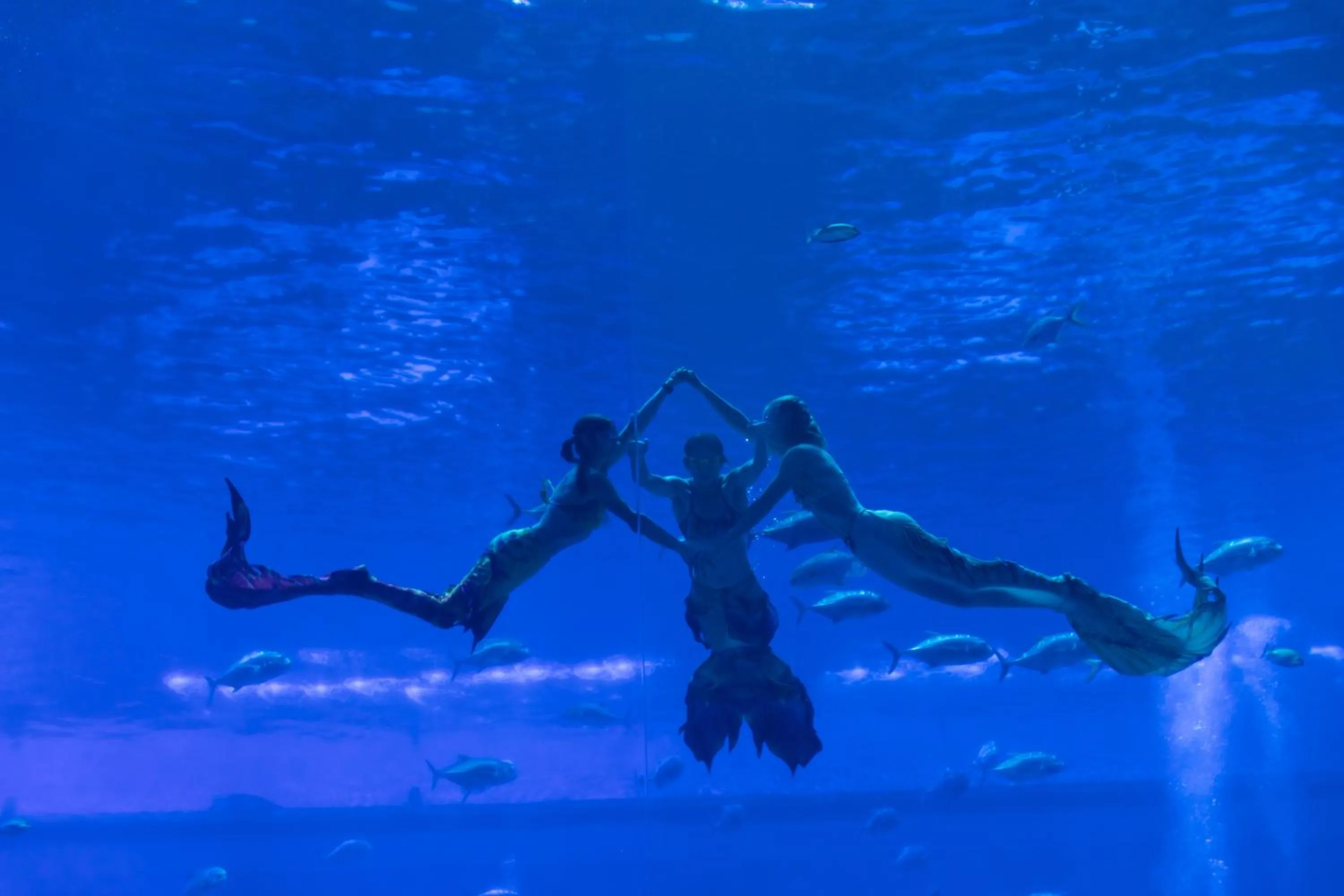 Novotel Nanchang Sunac