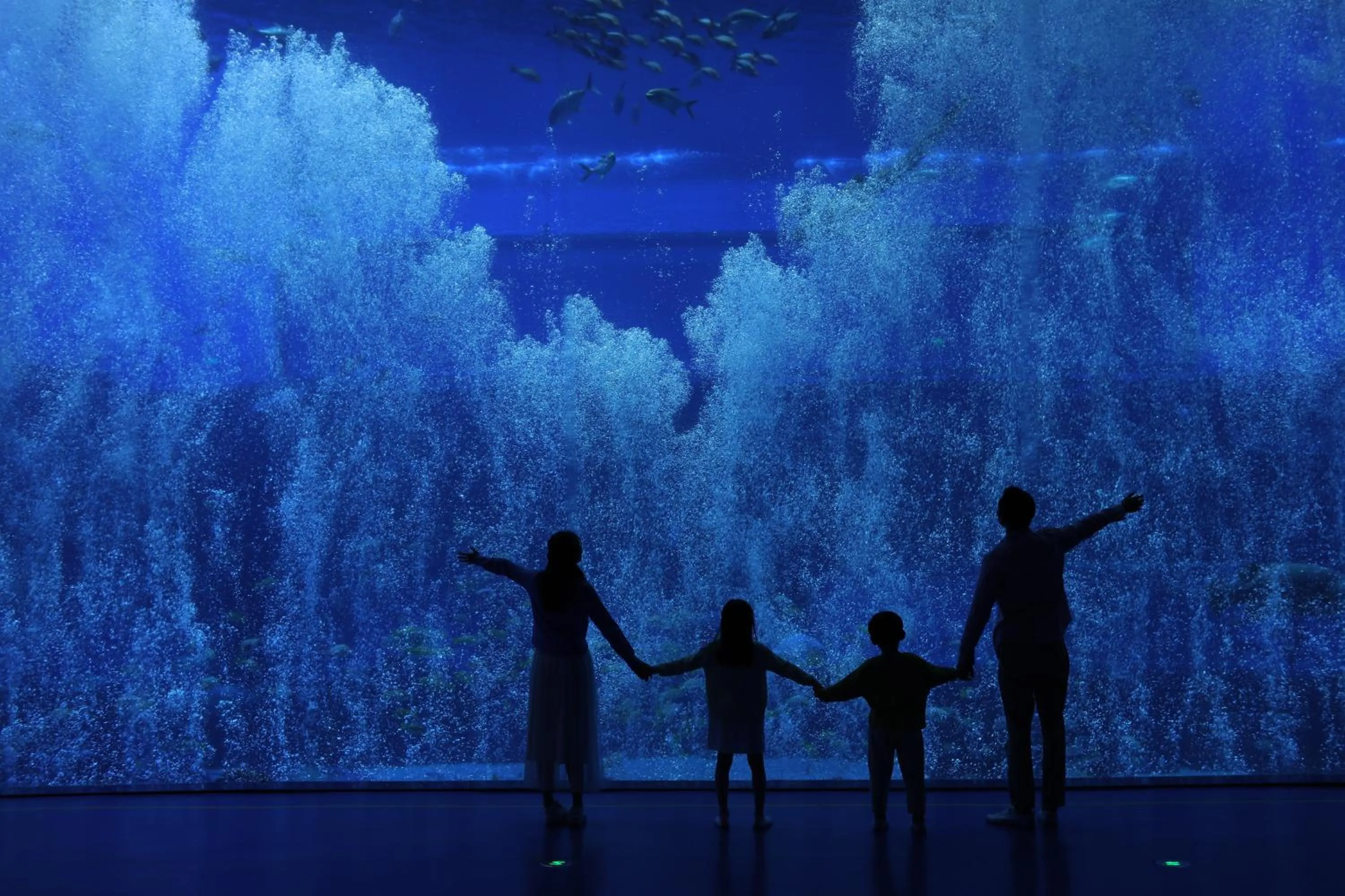 Mercure Nanchang Sunac