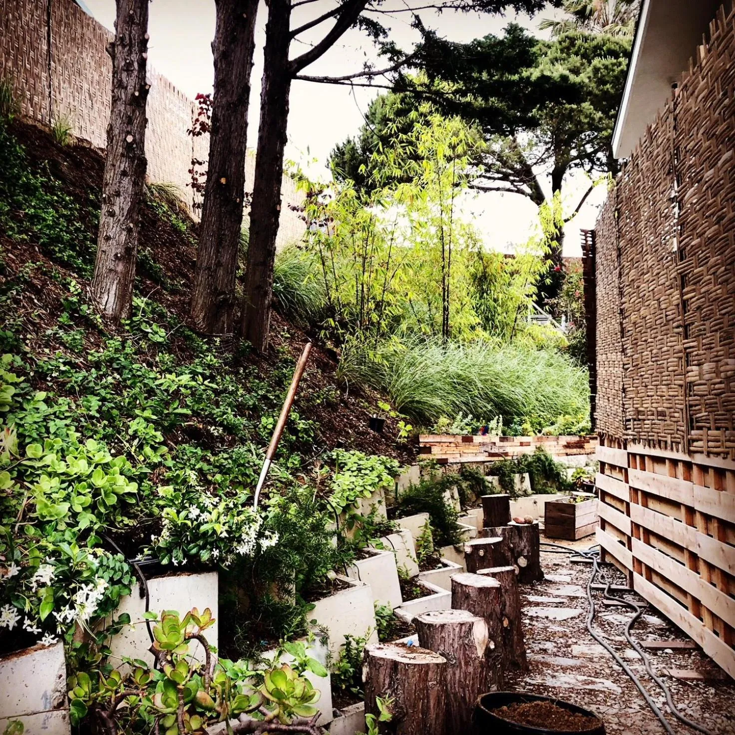 Day in Inn at Moonlight Beach