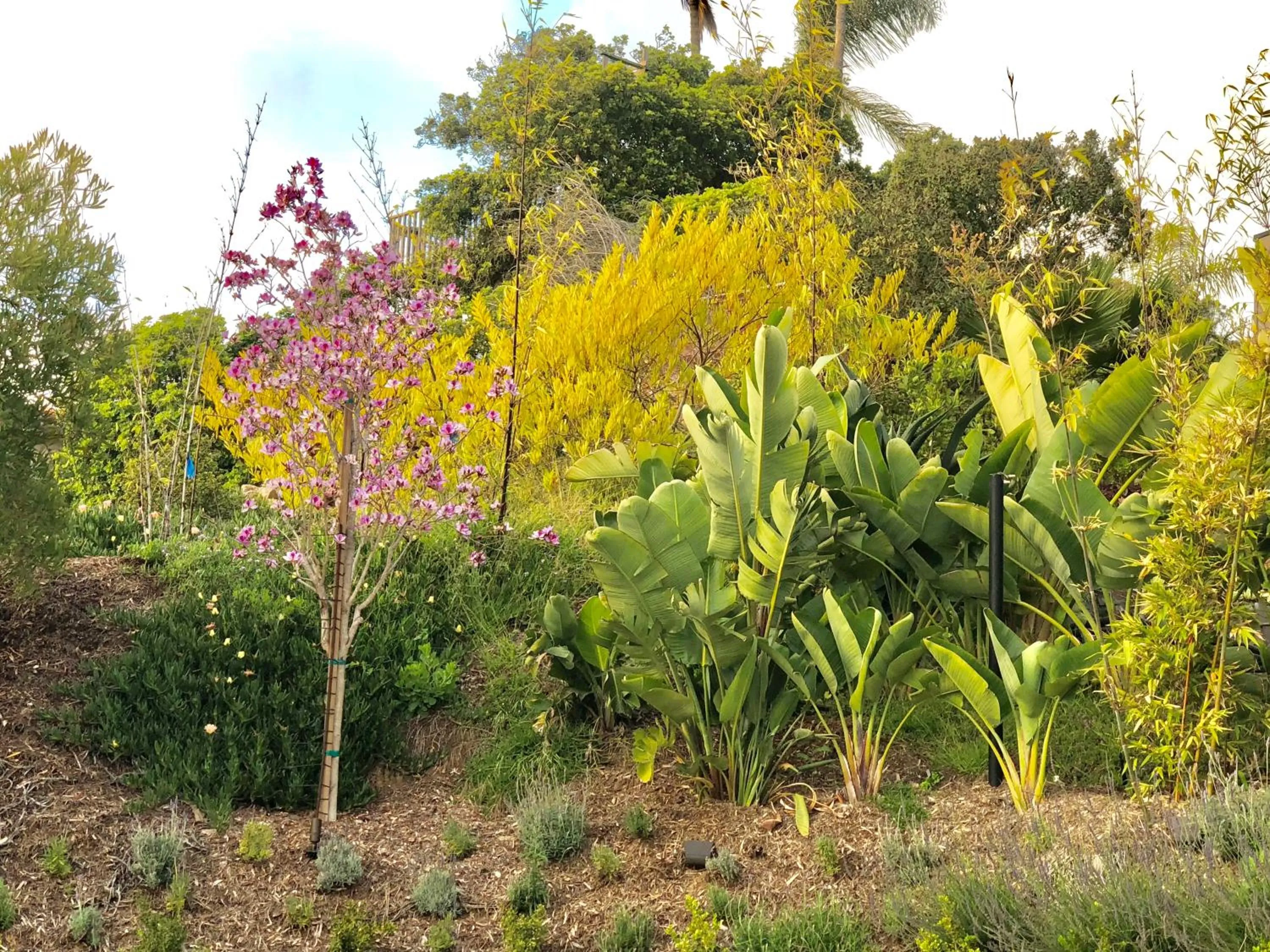 Day in Inn at Moonlight Beach