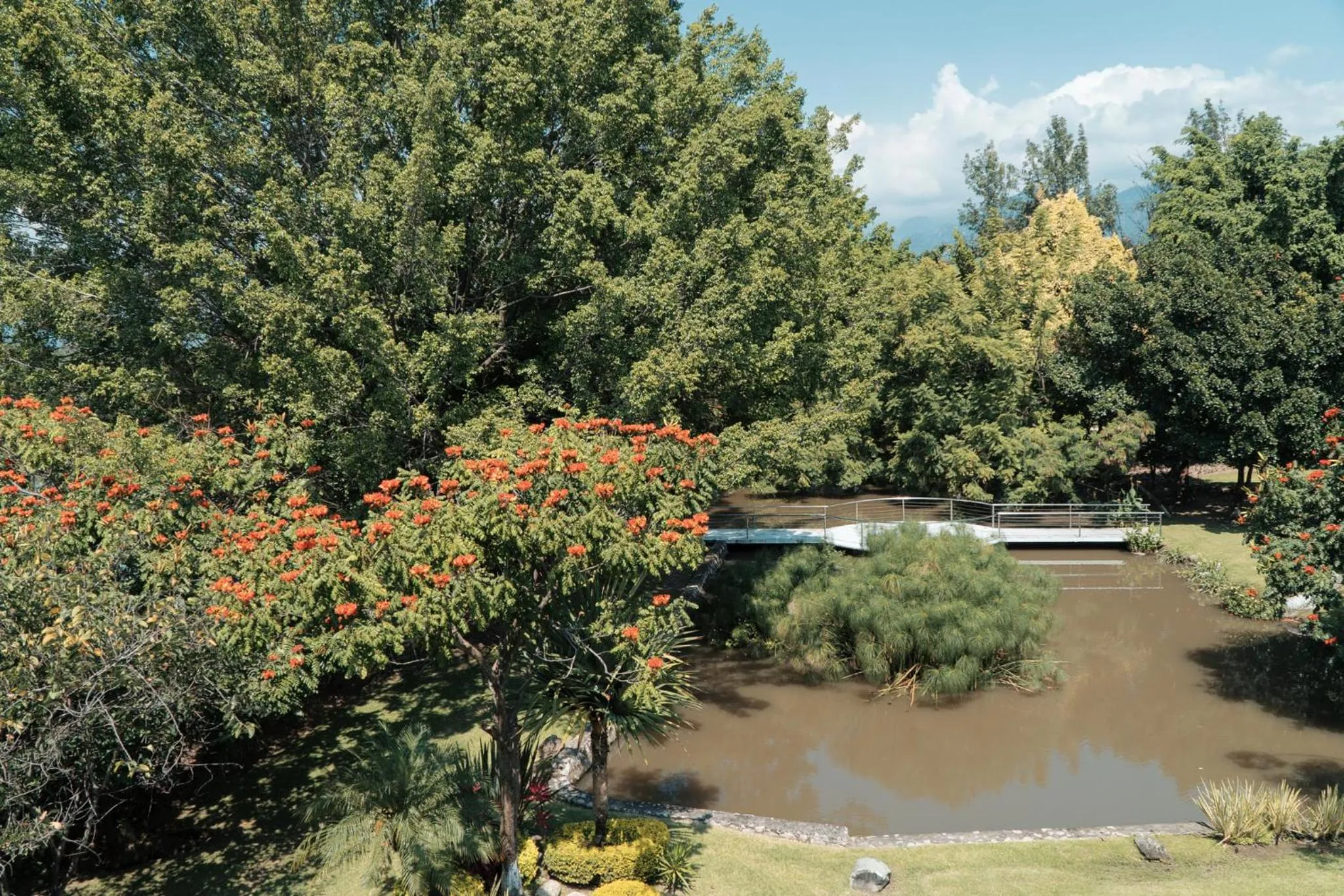 Garden in Rancho Macloy Hotel Spa & Social Events