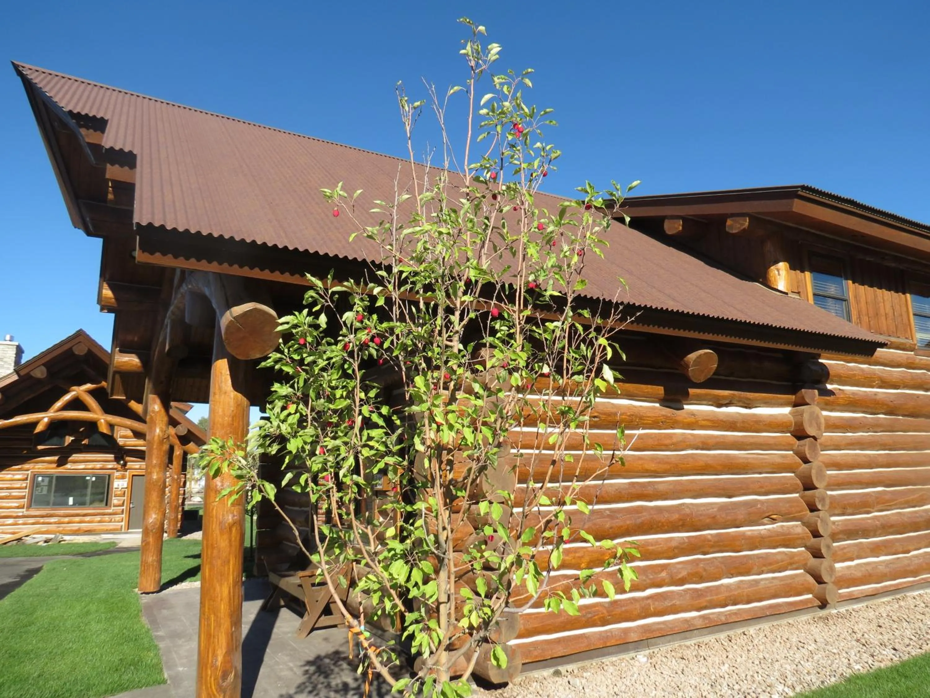 Decorative detail in Kodiak Mountain Resort