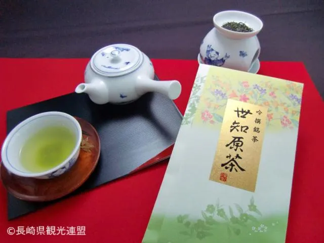 Nearby landmark in Hotel Okura JR Huis Ten Bosch