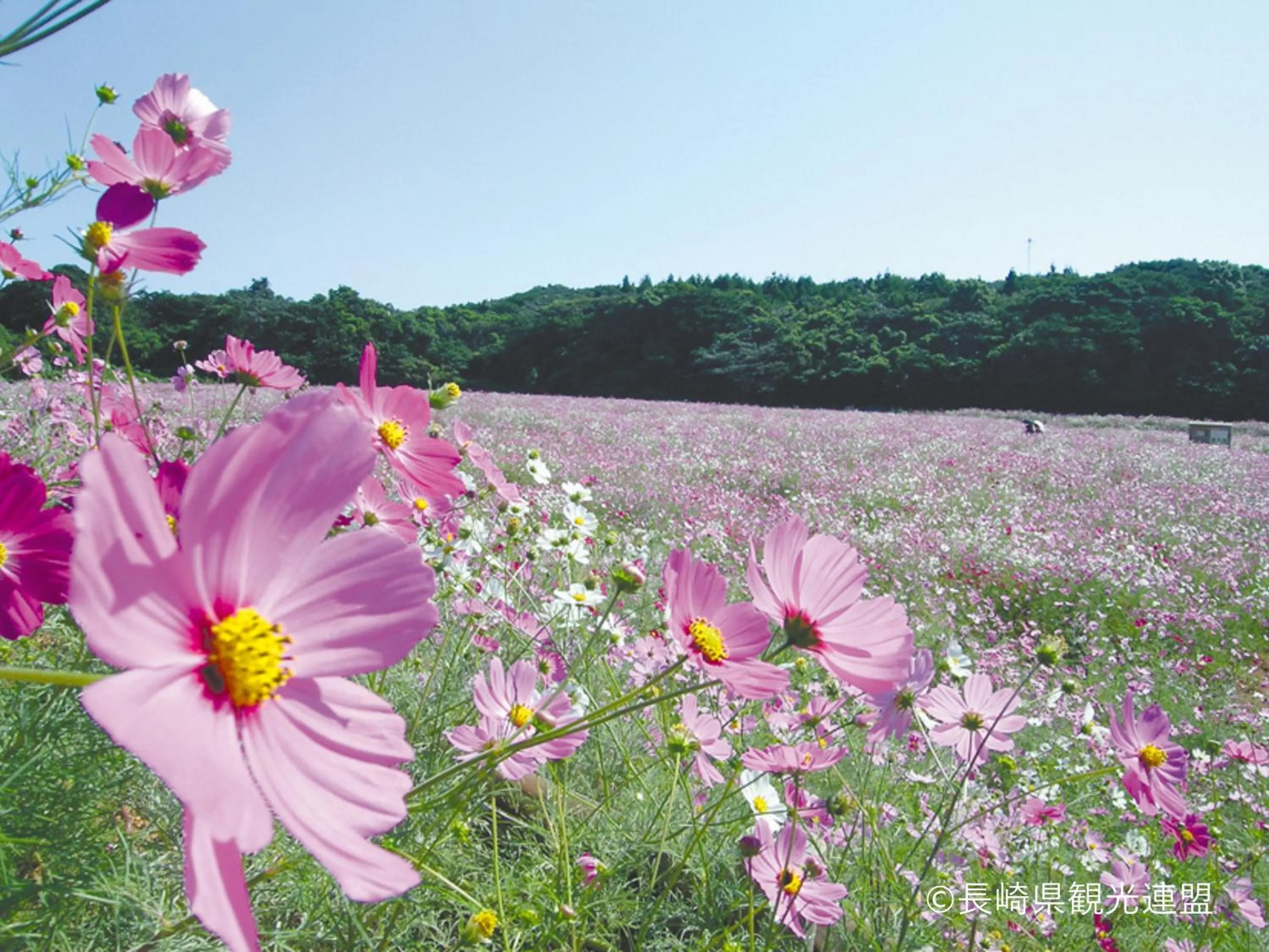Nearby landmark in Hotel Okura JR Huis Ten Bosch