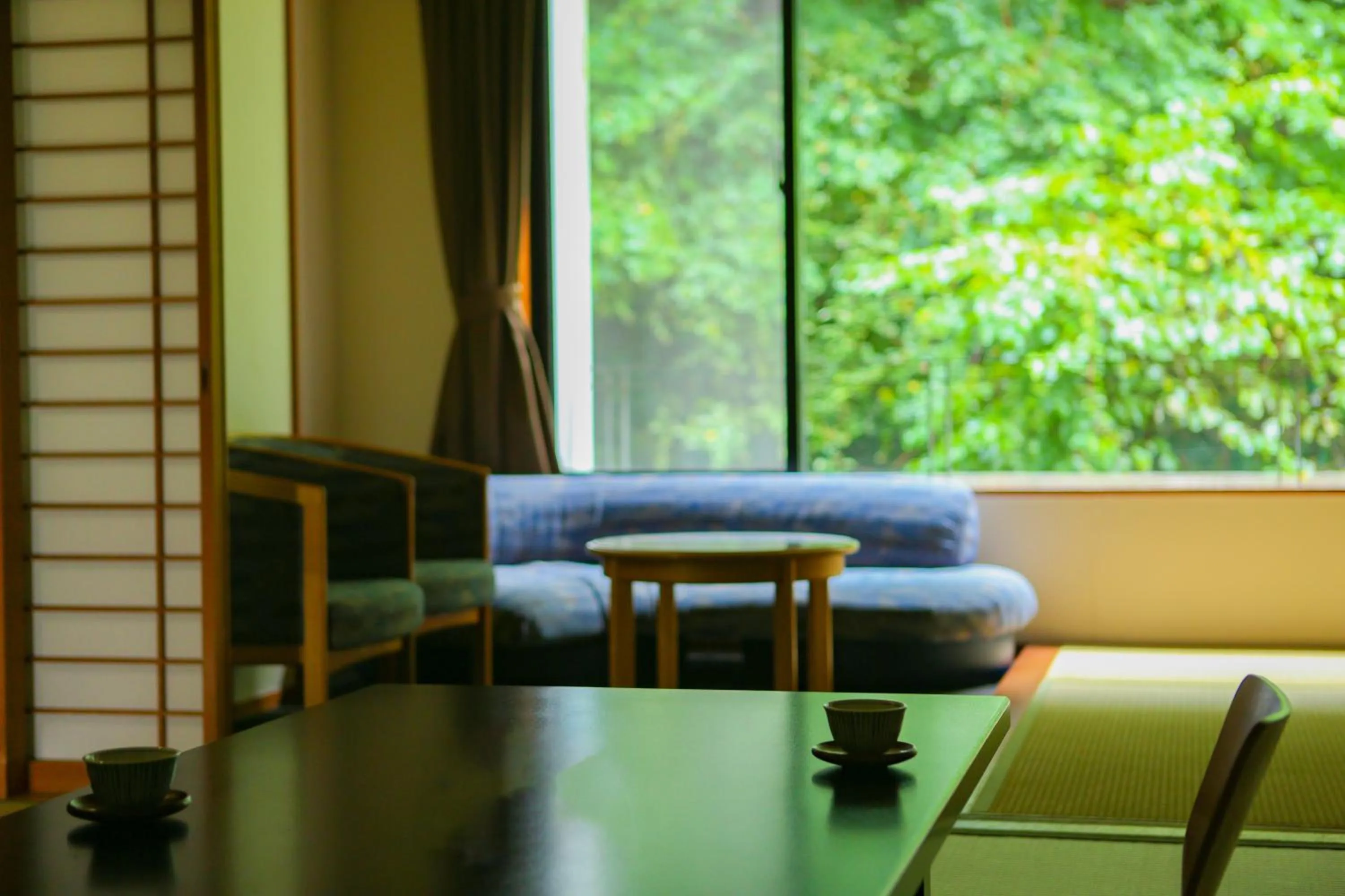 Photo of the whole room in Ooedo Onsen Monogatari Premium Ikaho