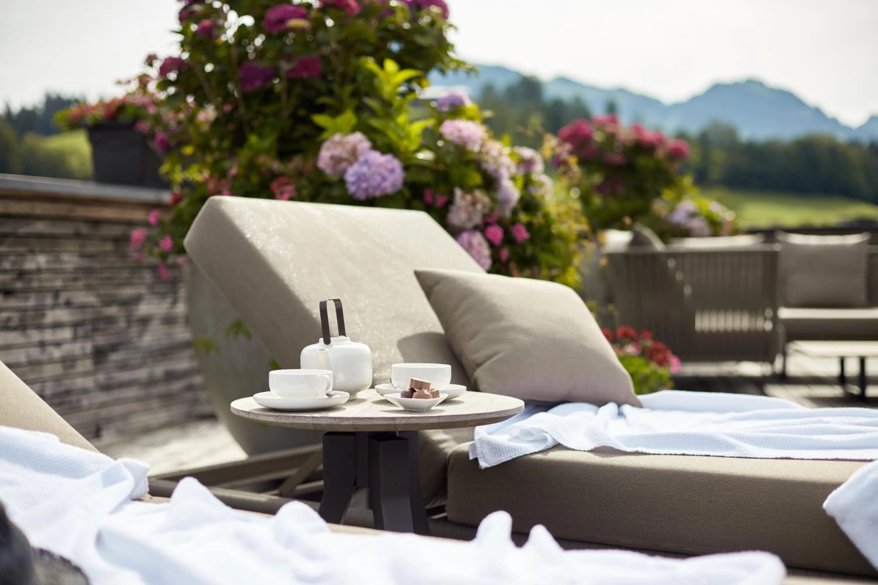 Mountain view in Kitzbühel Lodge