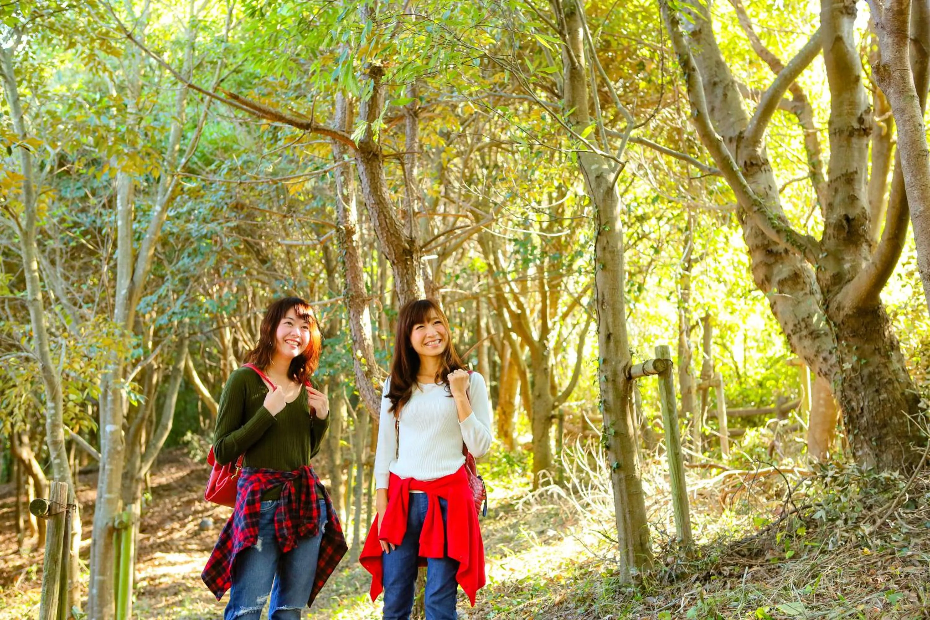 Natural landscape in Ooedo Onsen Monogatari Kimitsu no Mori
