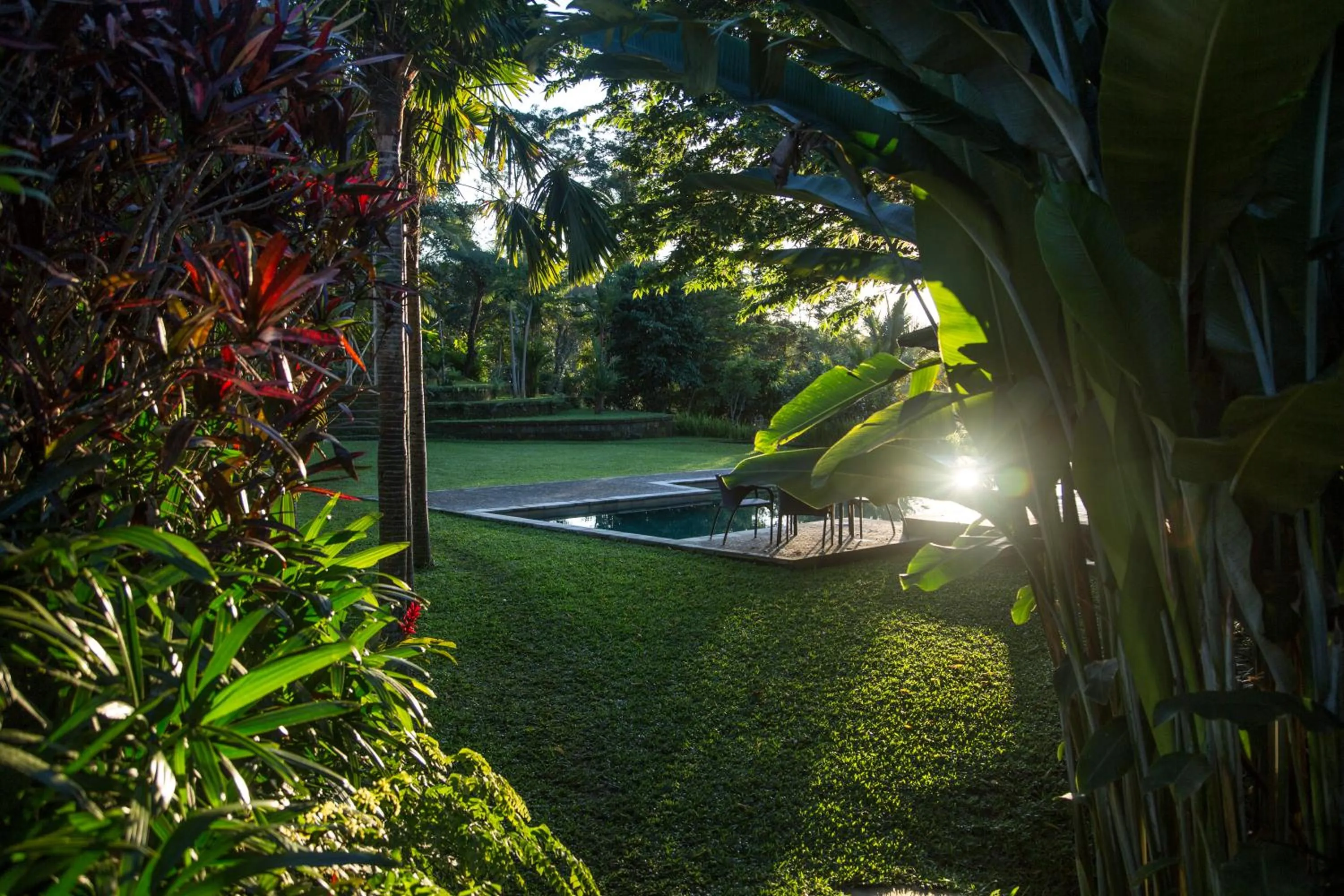 Natural landscape in Alassari Plantation