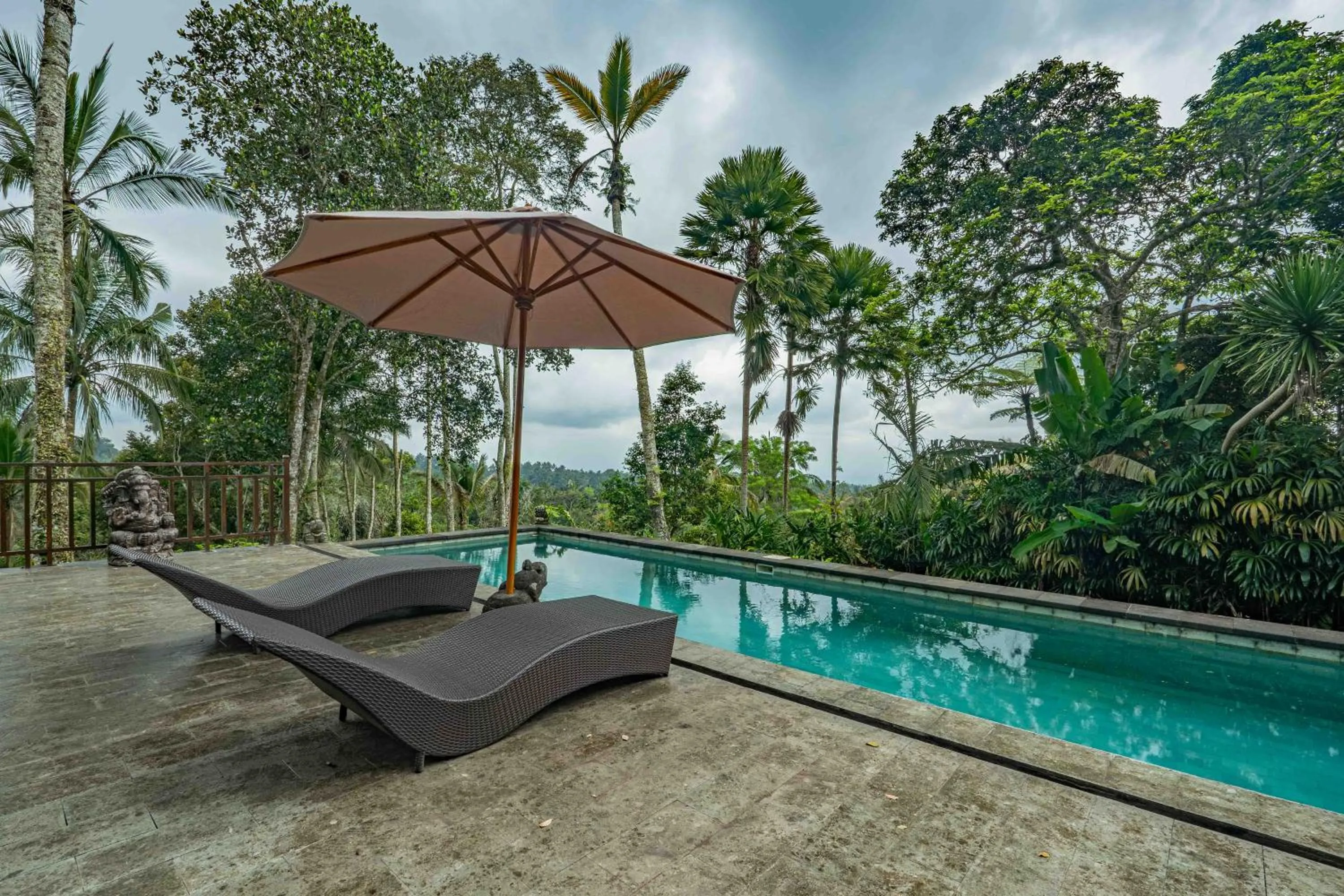 Day in Alassari Plantation