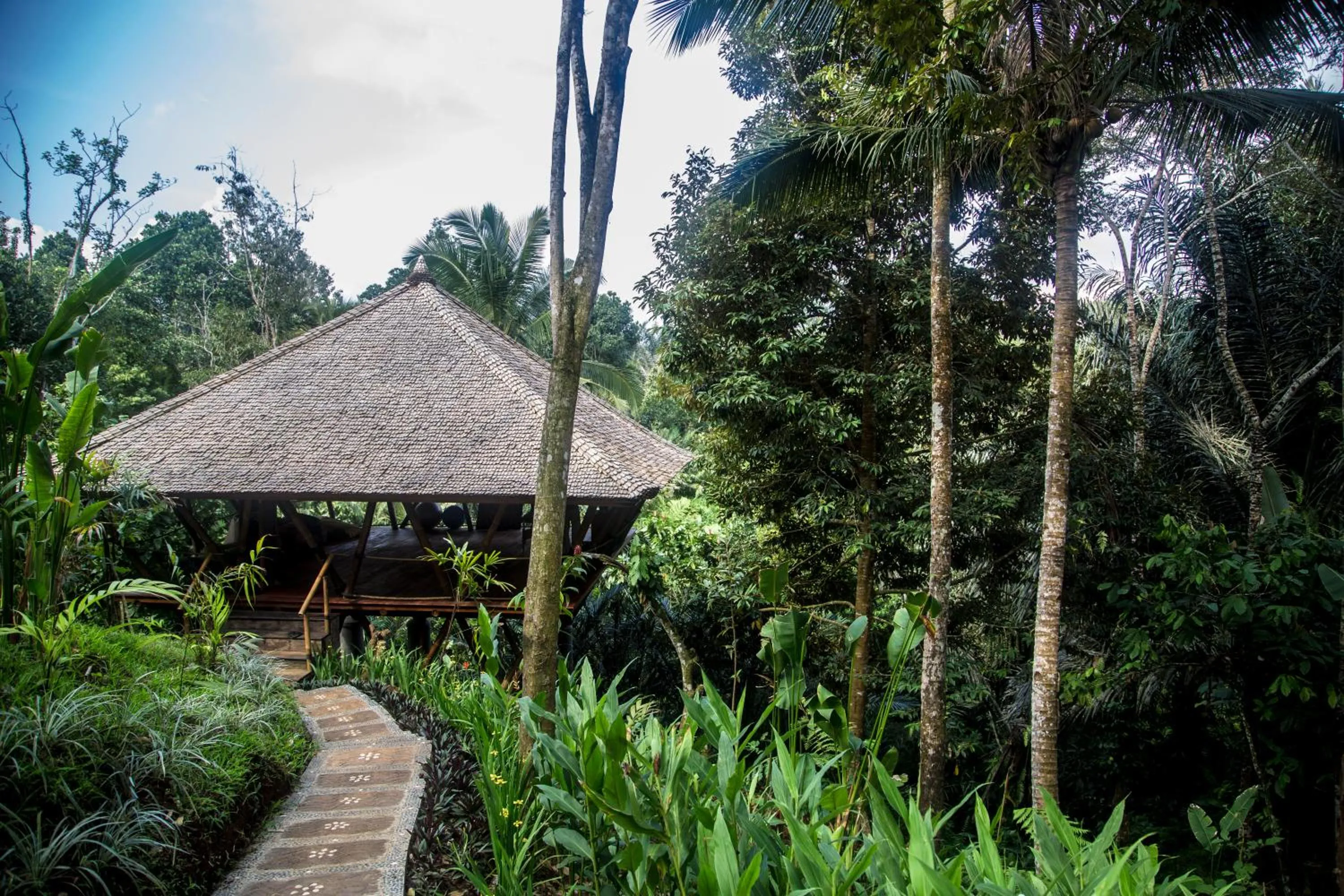 Day in Alassari Plantation