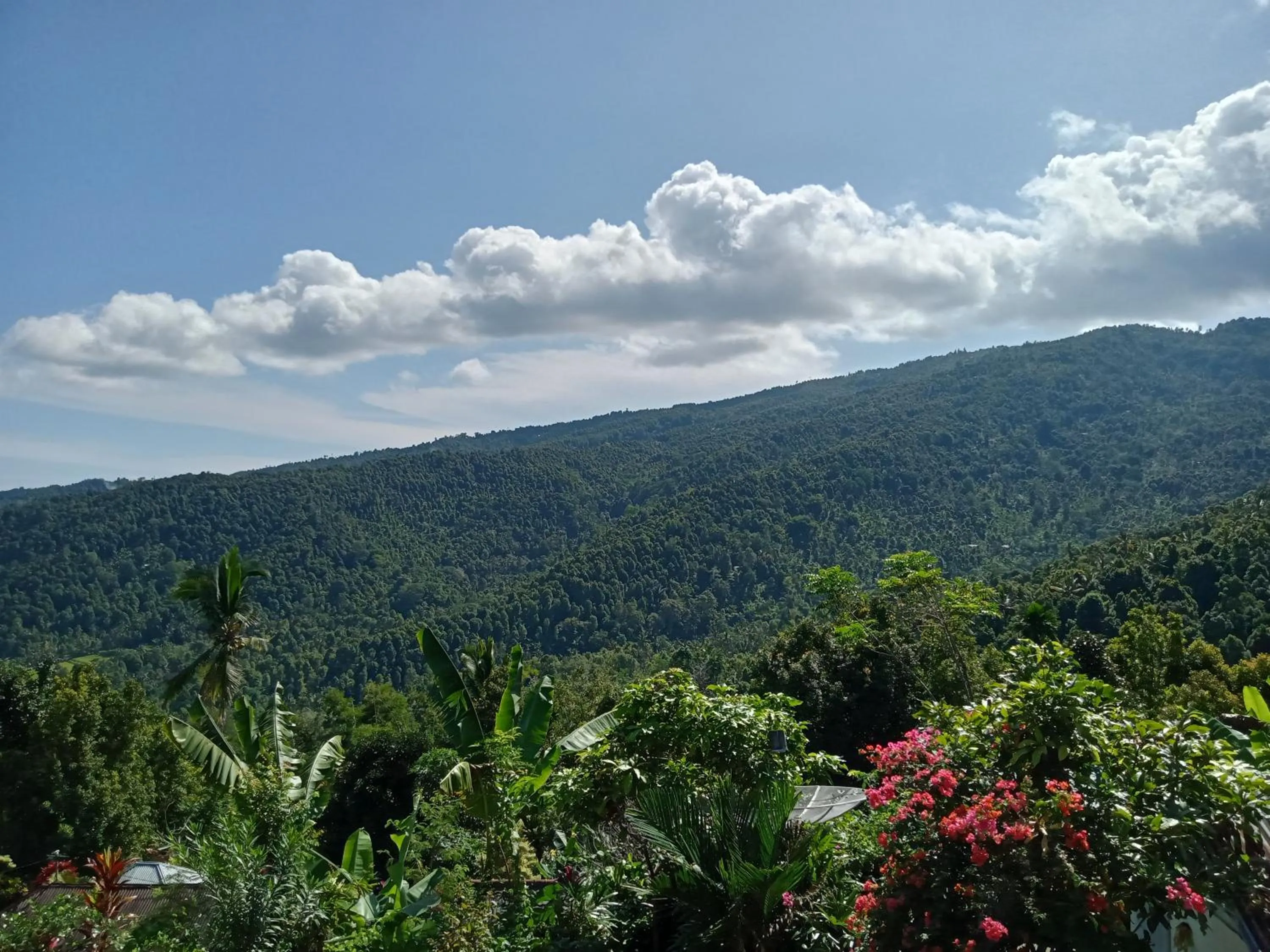 Mountain view in Aris Homestay and Warung Made