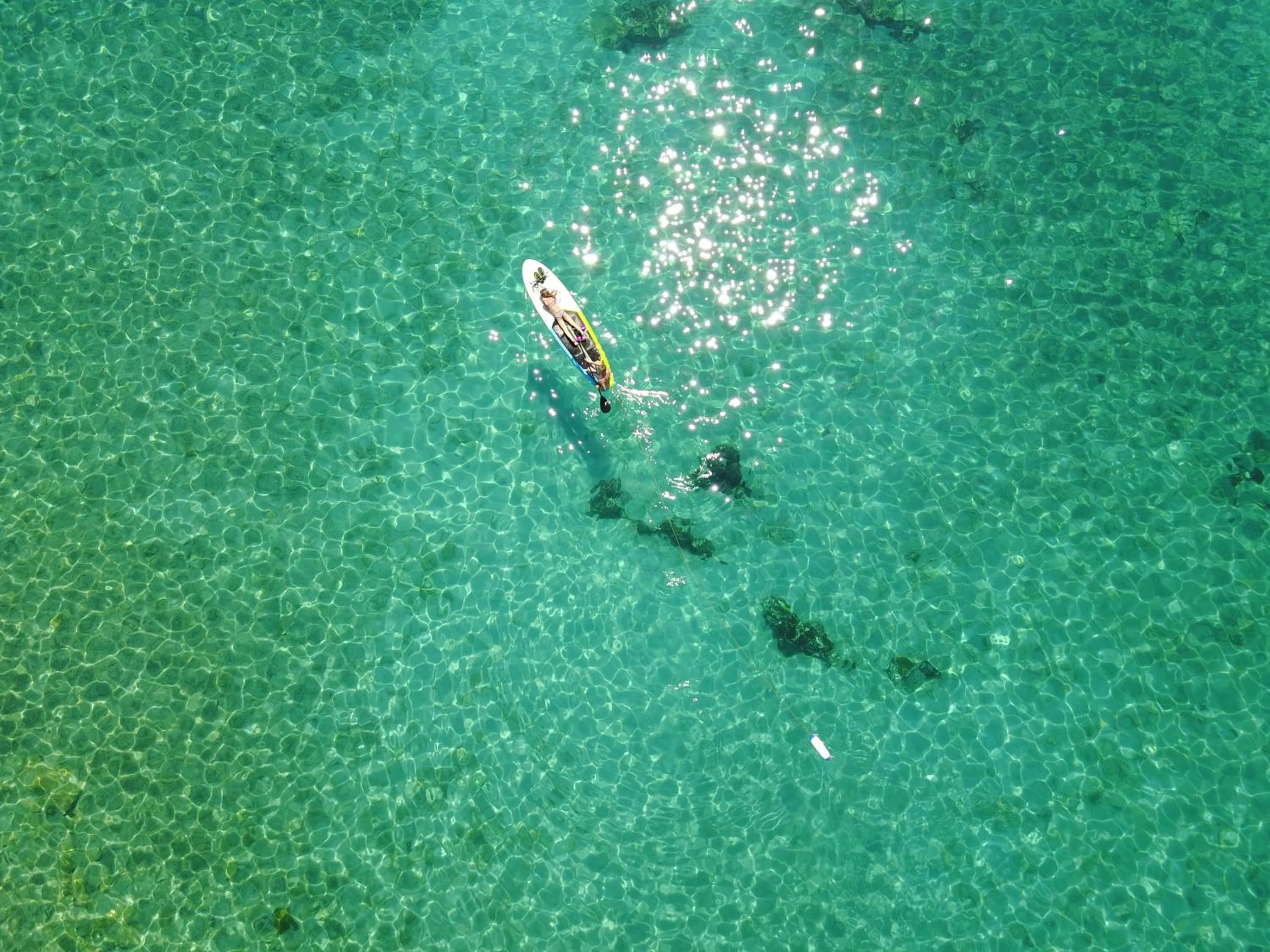 Spring in Hotel Bozica Dubrovnik Islands