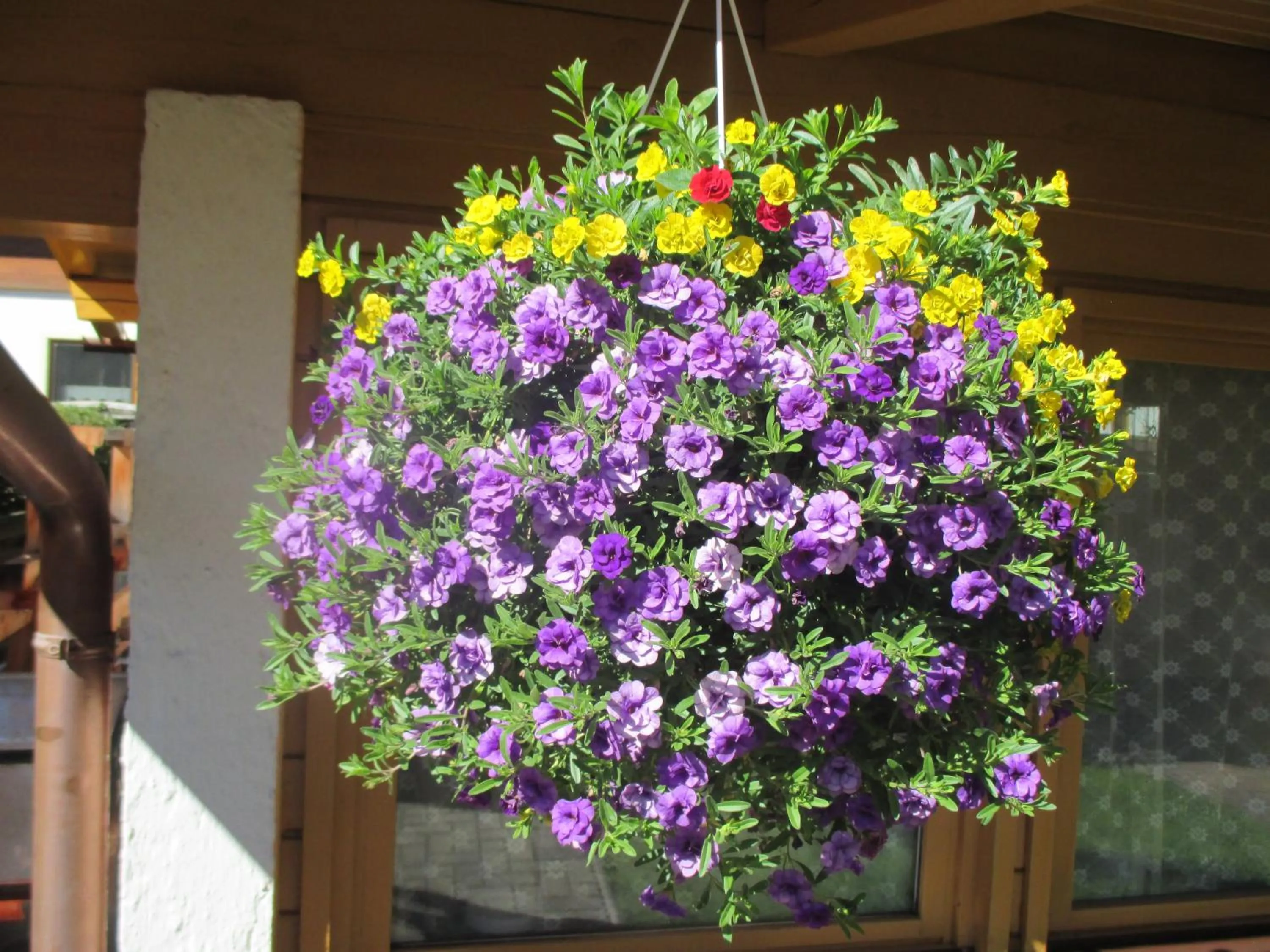 Garden view in Vermietung & Verpachtung Zellermoosstraße 14