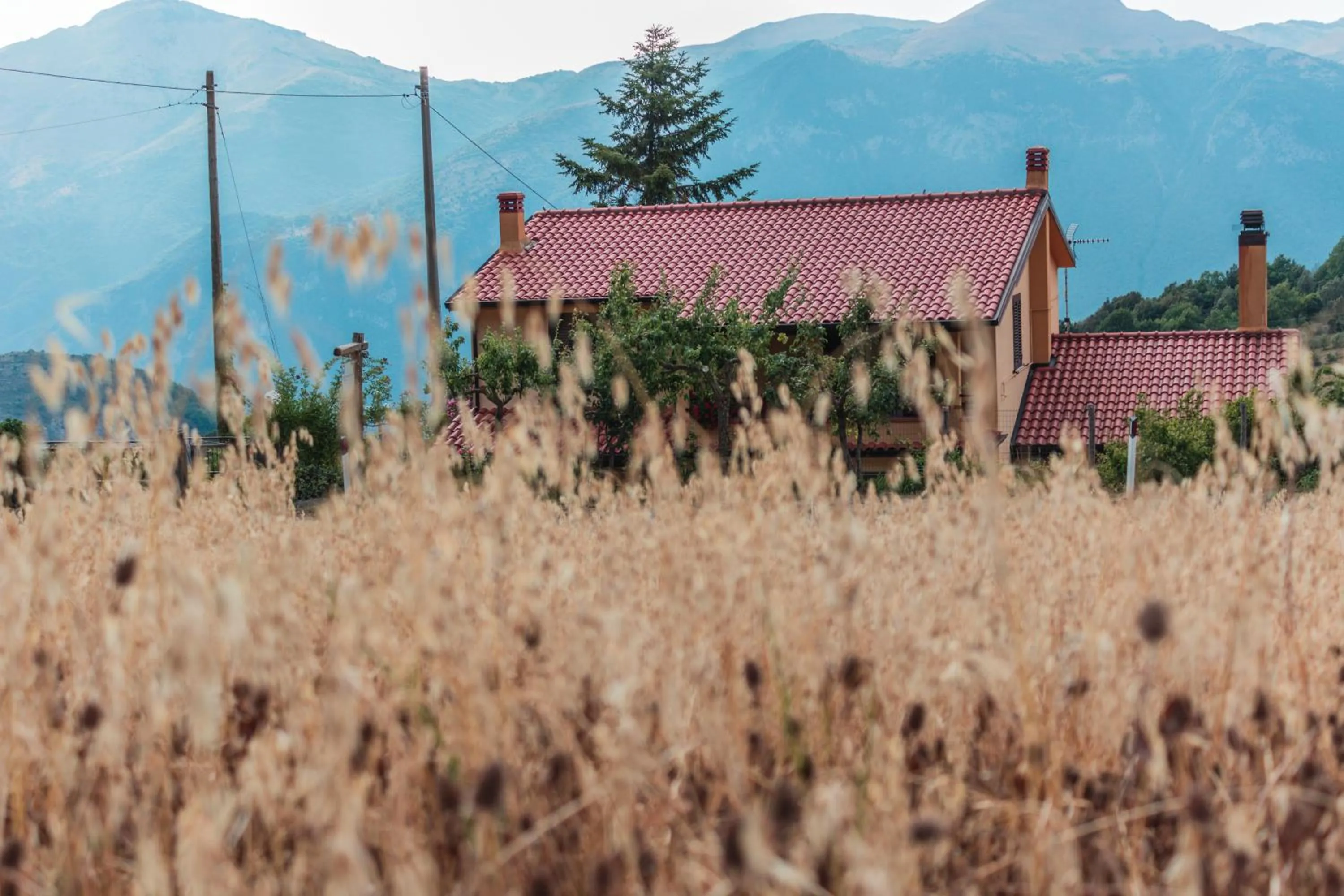 Property building in B&B Matilde