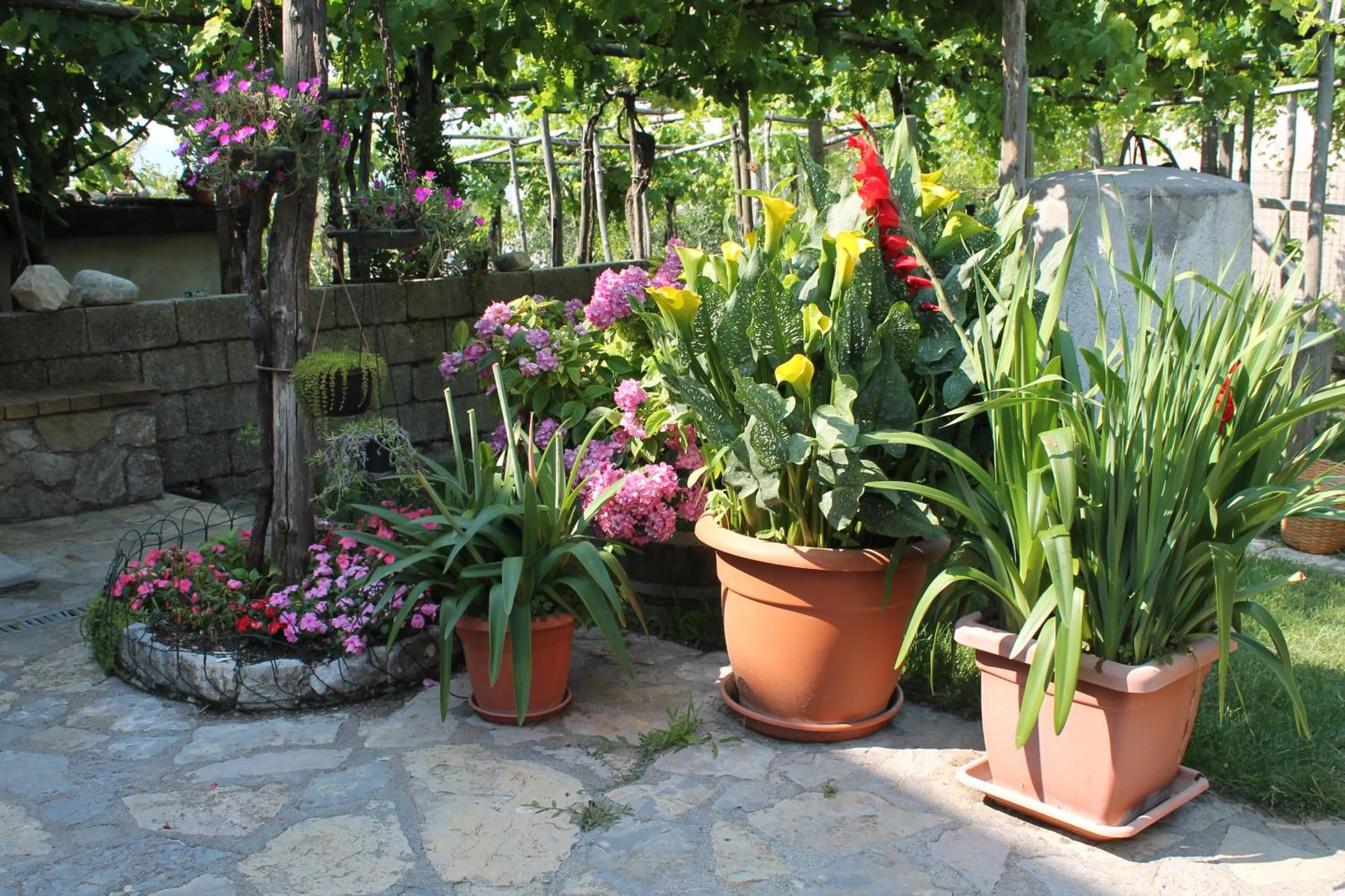 Patio in B&B Matilde