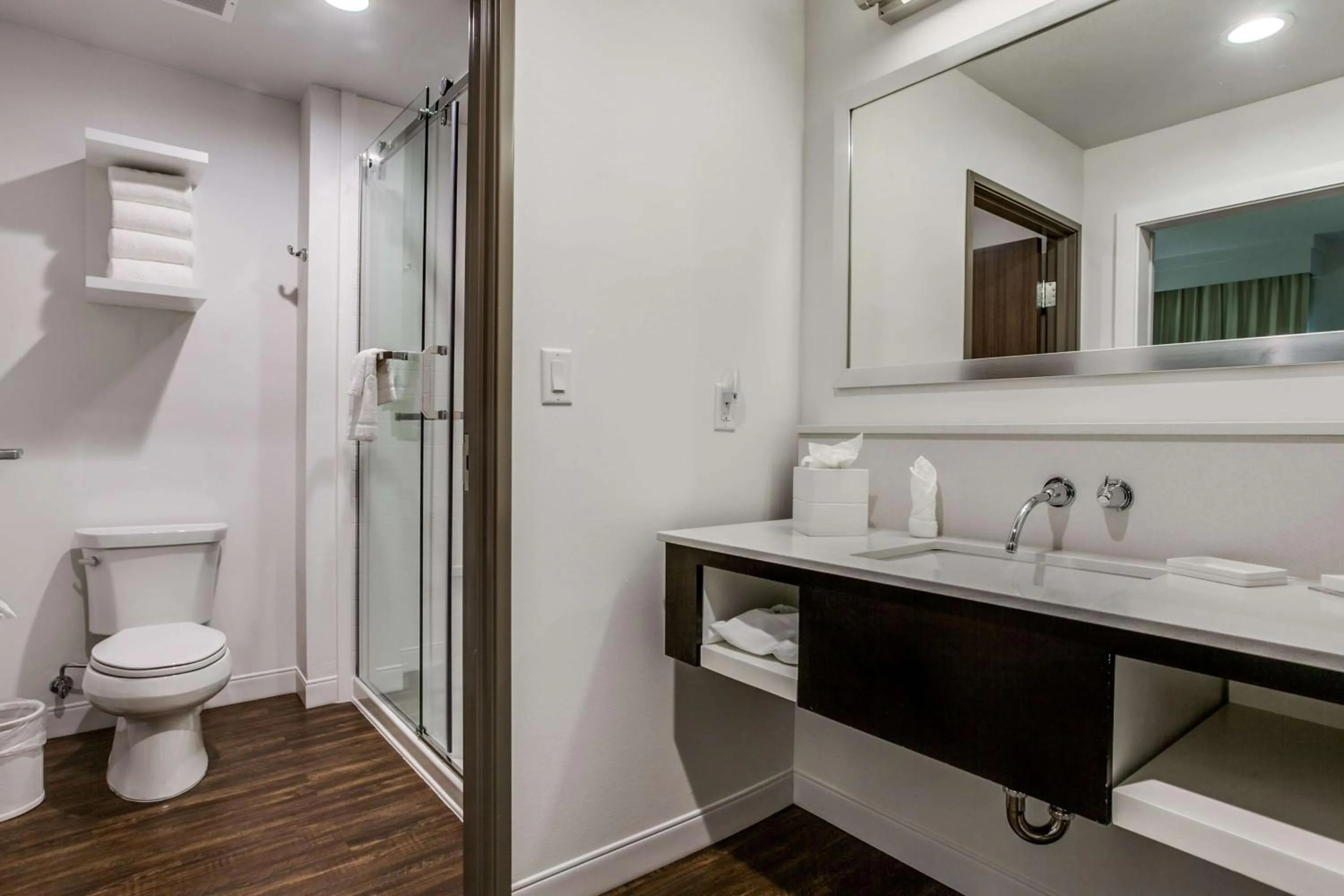 Bathroom in Hampton Inn & Suites Dallas-Central Expy/North Park Area