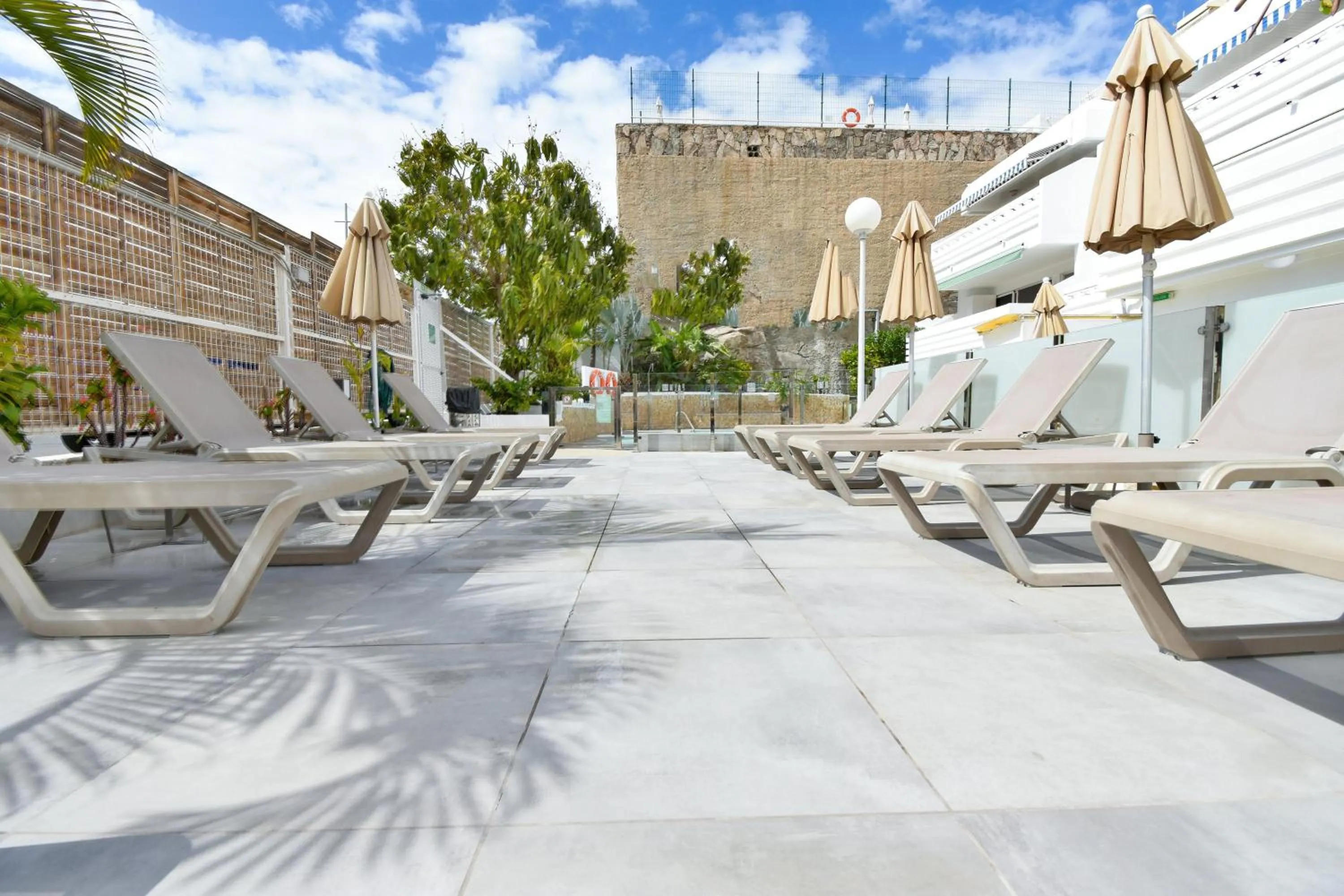 sunbed in Palm Suites