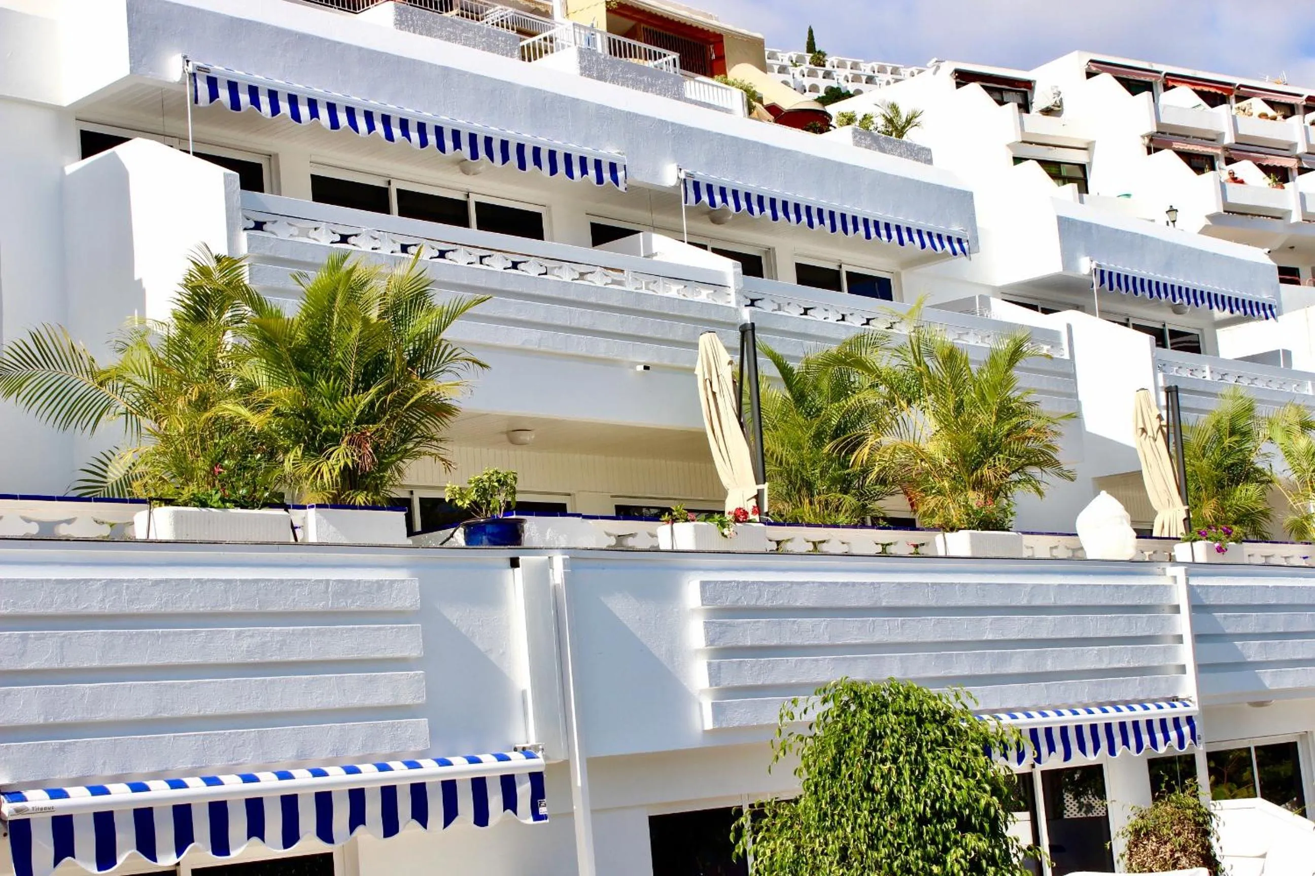 Property building in Palm Suites