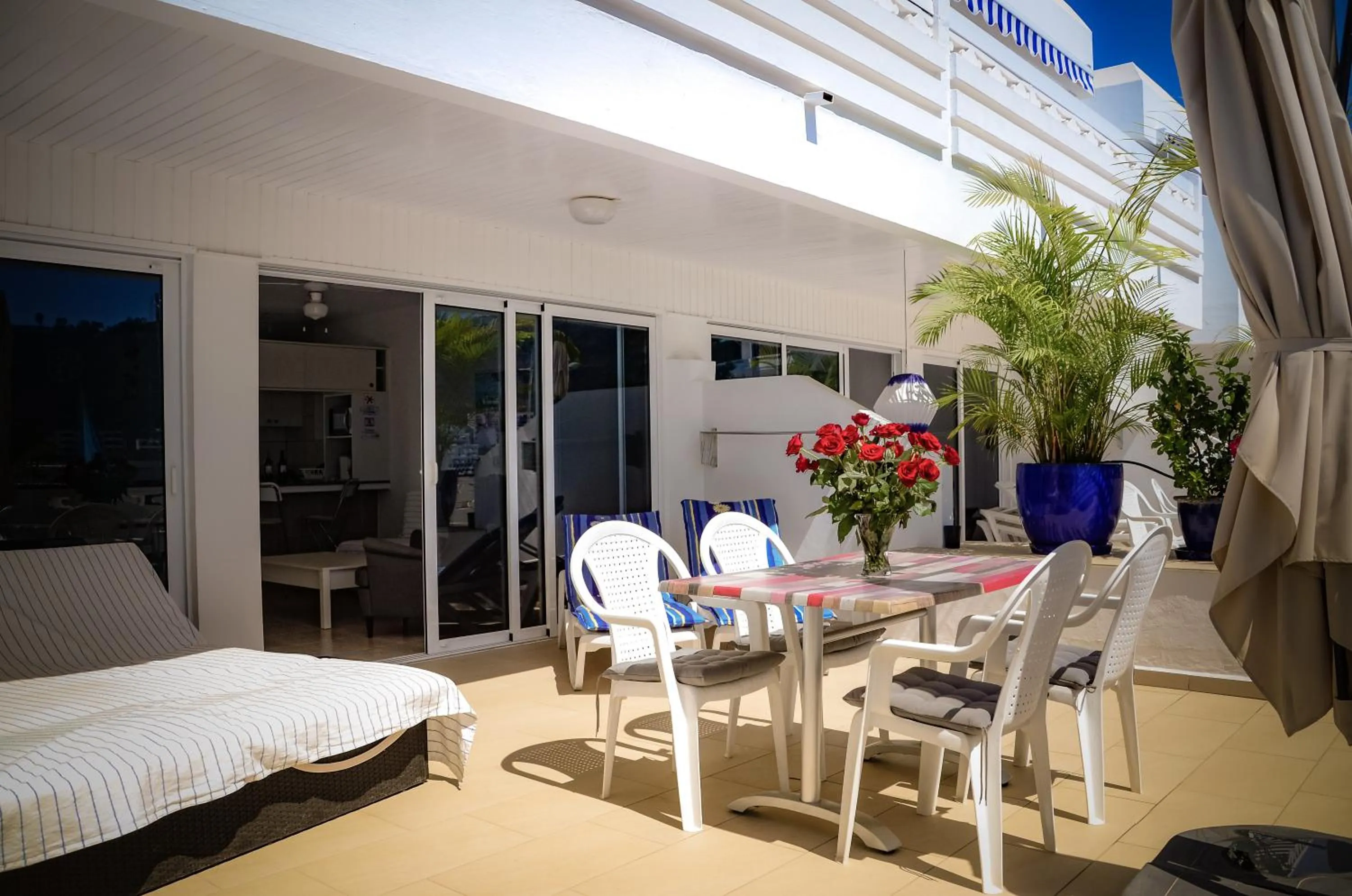 Patio in Palm Suites