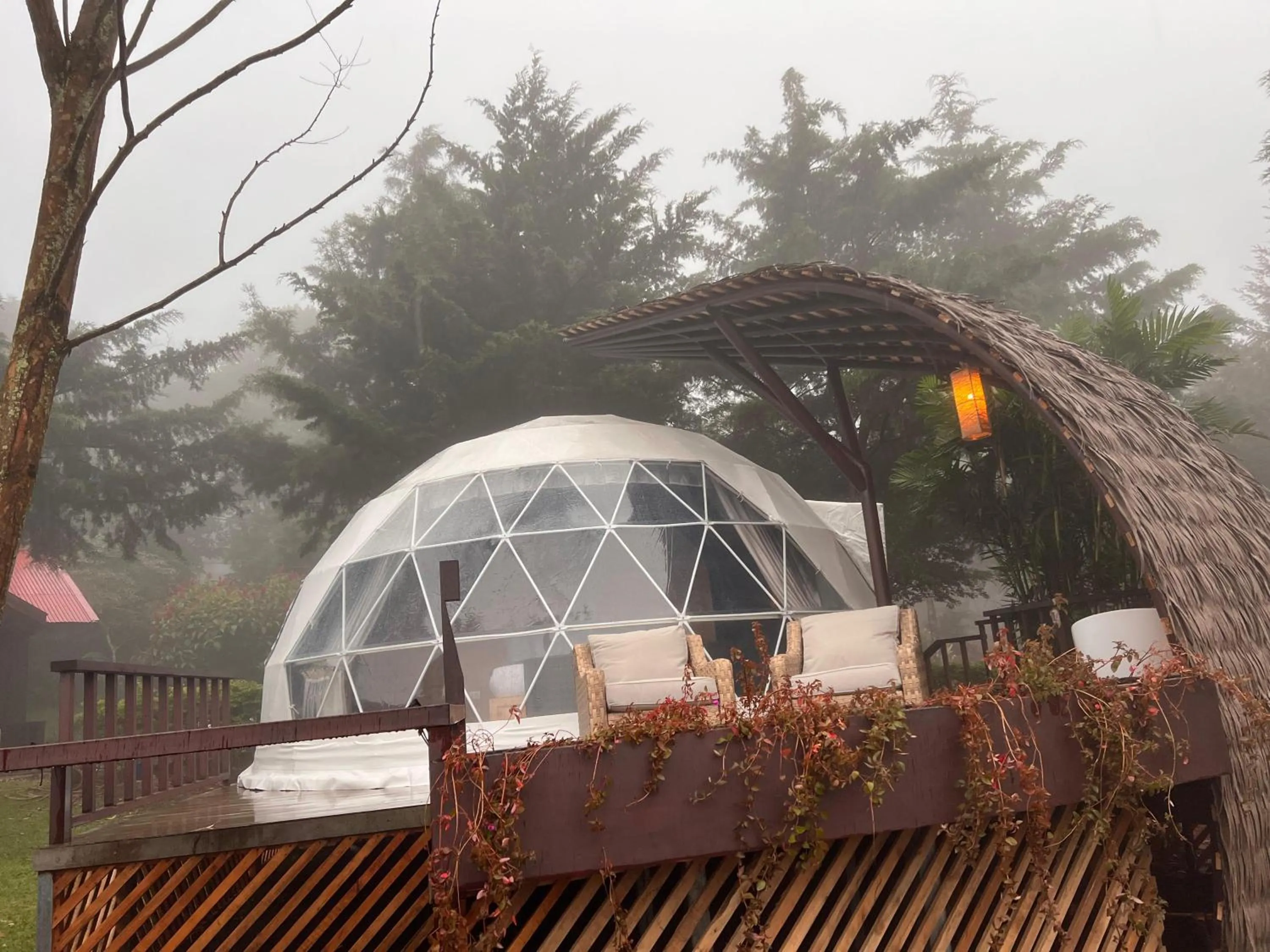 Natural landscape in Hotel & Spa Escondite de la Montaña