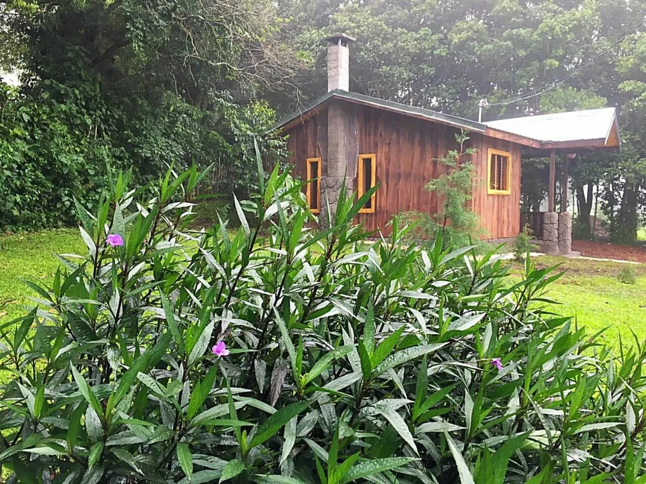 Garden view in Hotel & Spa Escondite de la Montaña