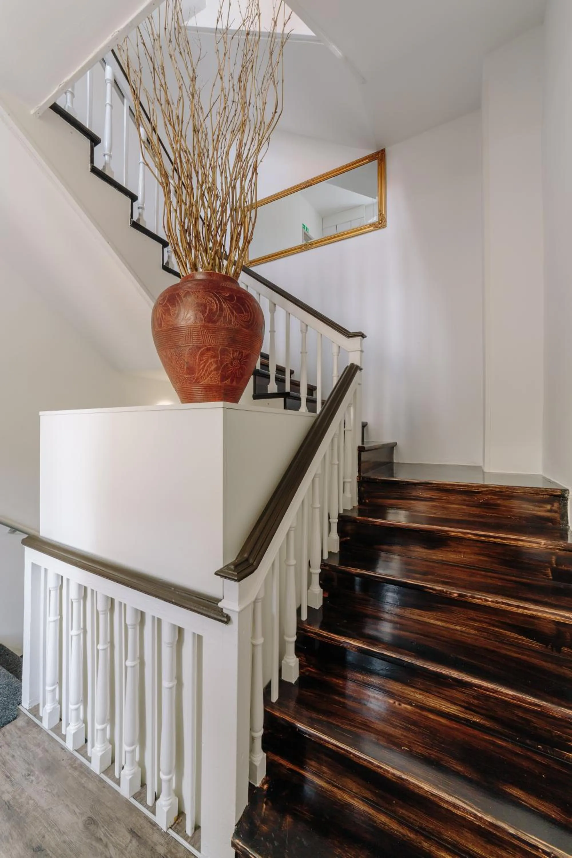 Area and facilities in Piranika