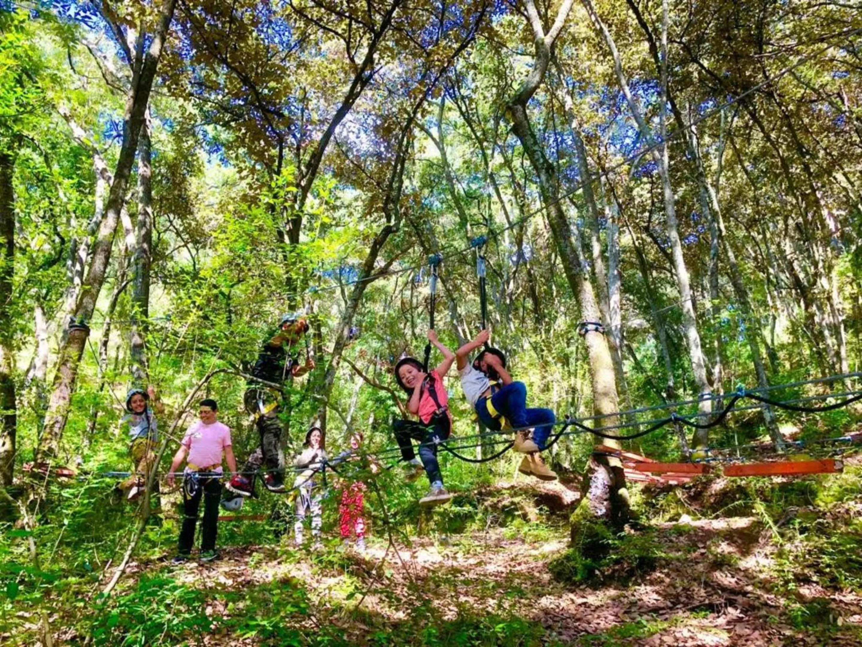 Animals in Hotel Villa Xtreme