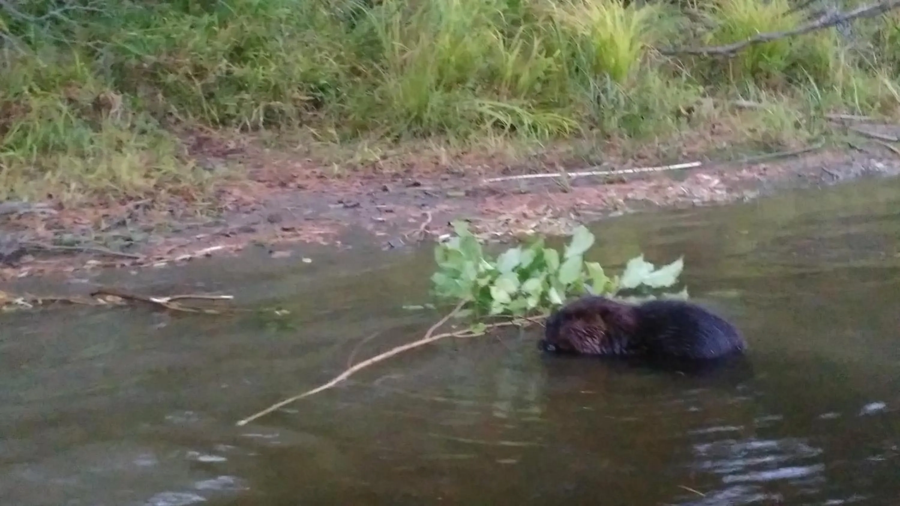 Hébergement de la Montagne St-Roch
