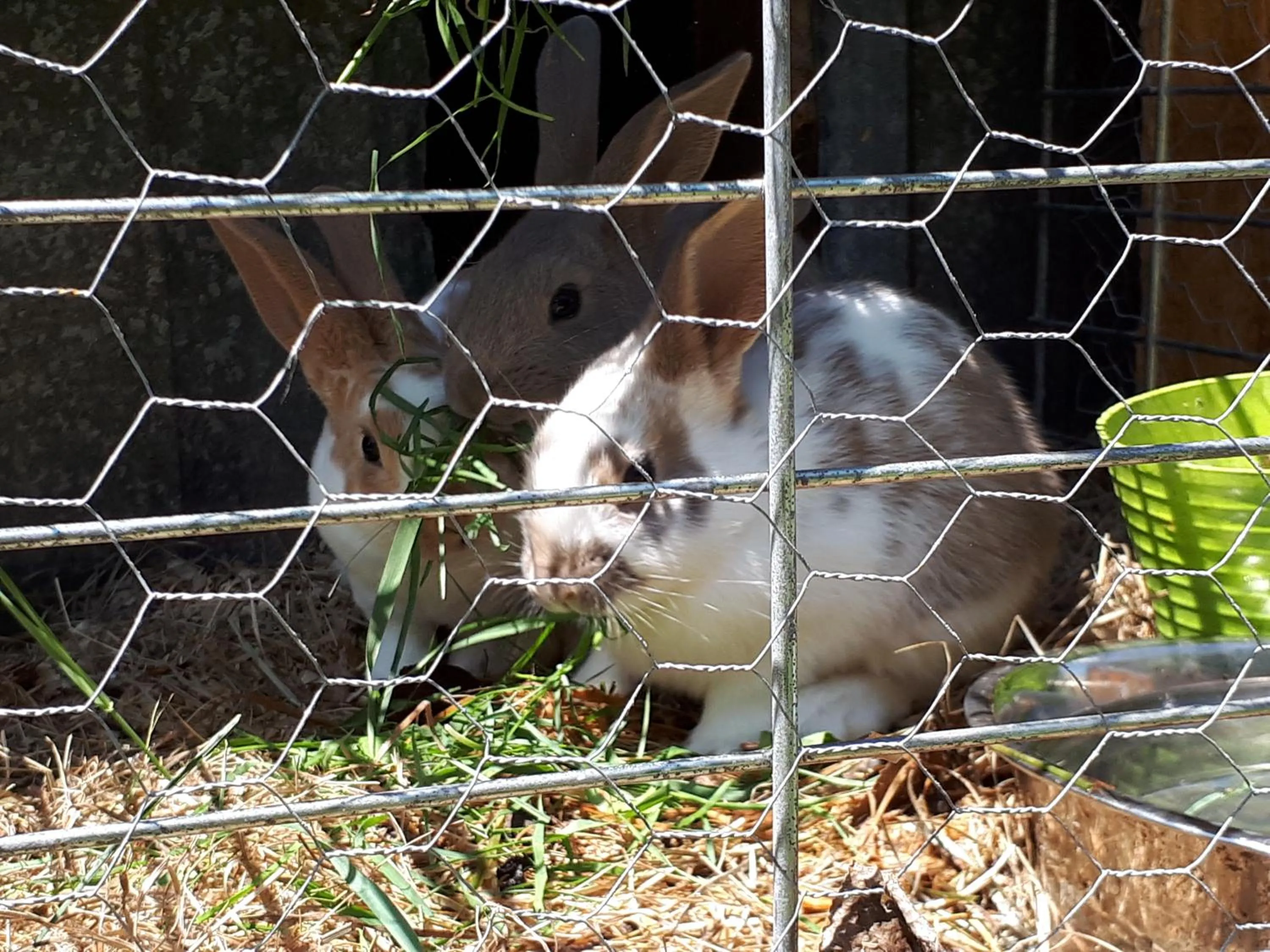 Hébergement de la Montagne St-Roch