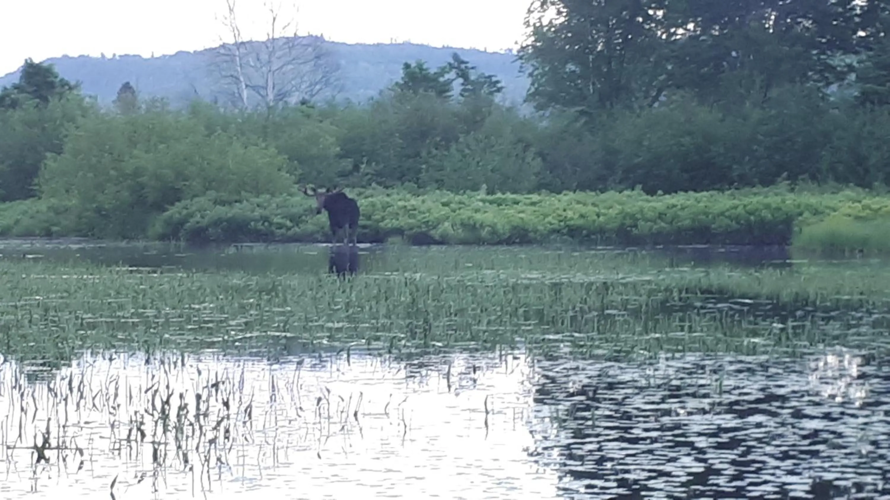 Hébergement de la Montagne St-Roch