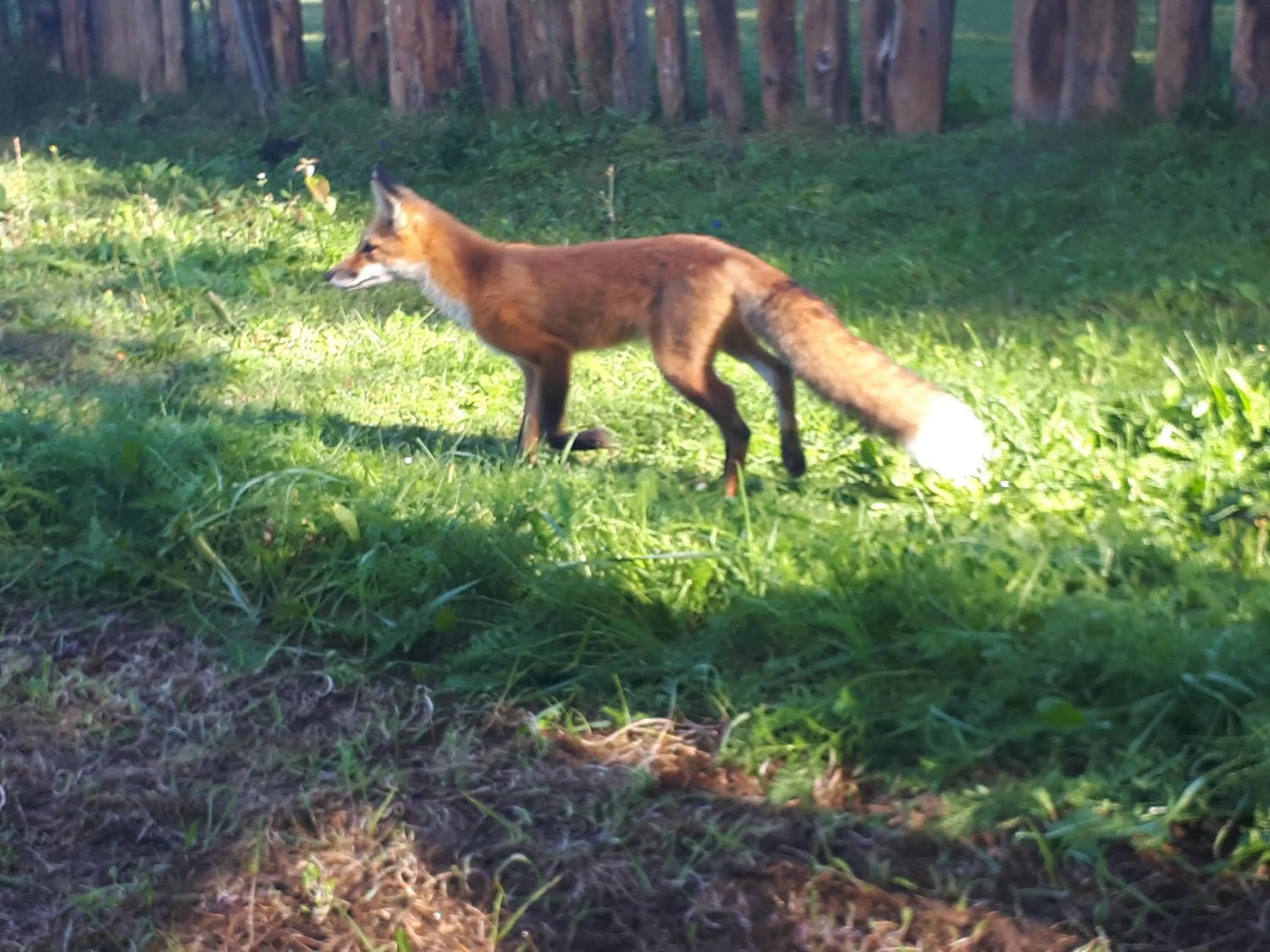 Hébergement de la Montagne St-Roch