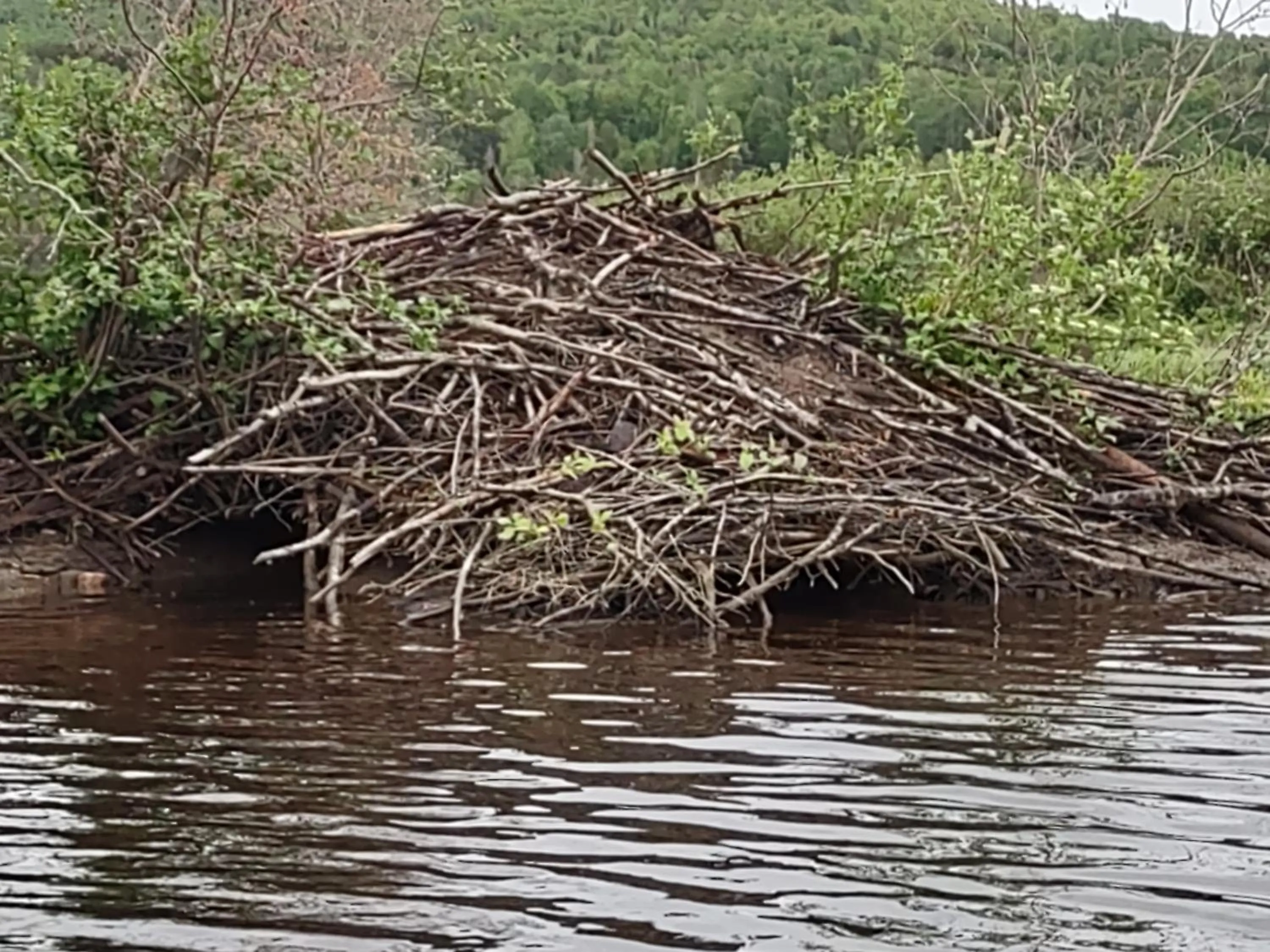 Hébergement de la Montagne St-Roch