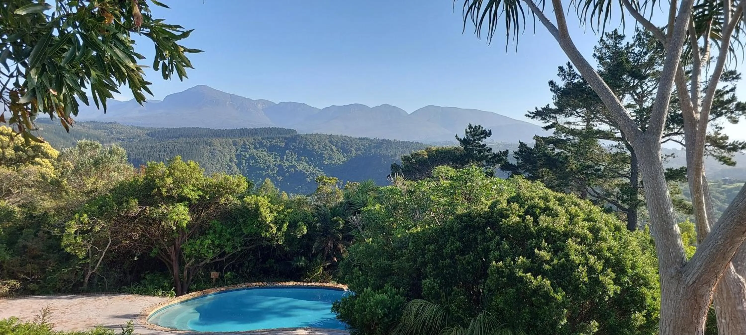 Swimming pool in Paradise Cove