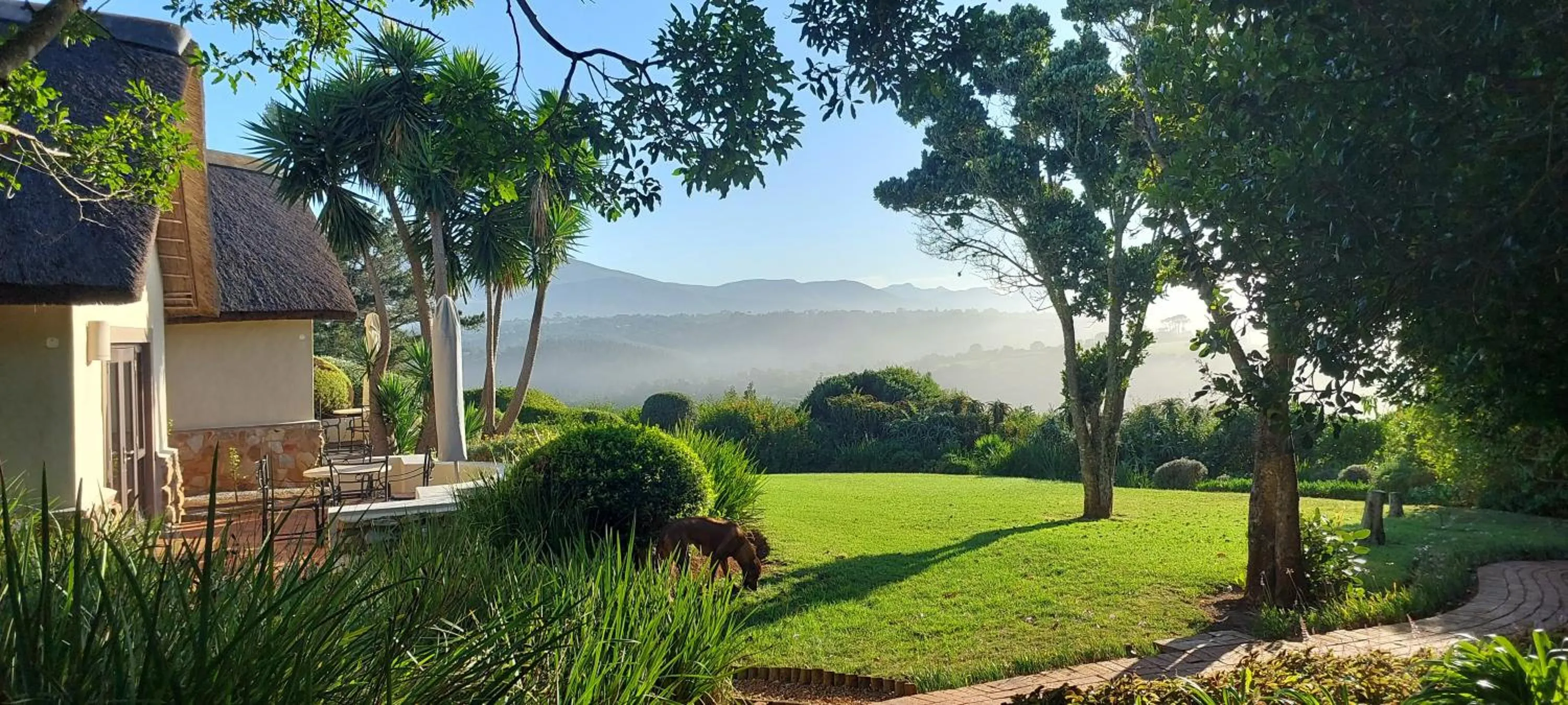 Garden view in Paradise Cove