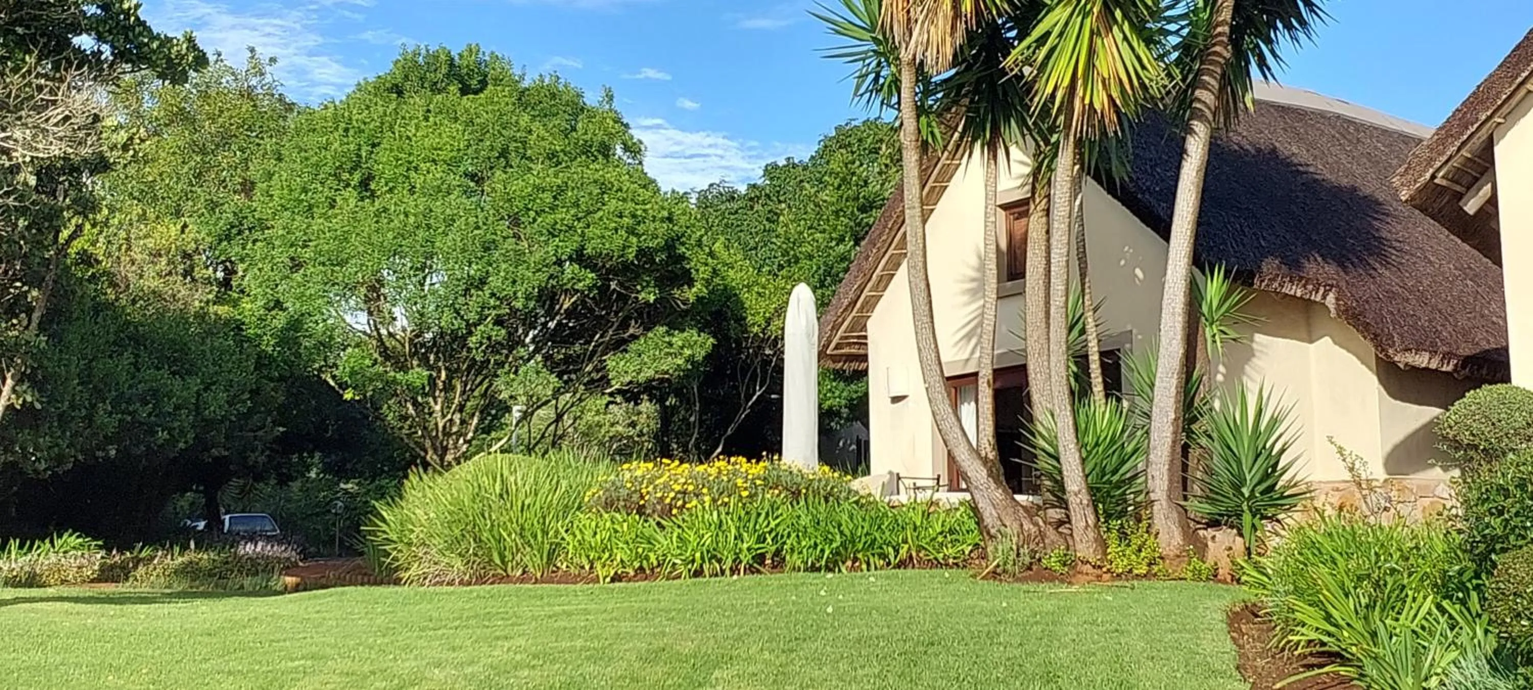 Garden view in Paradise Cove