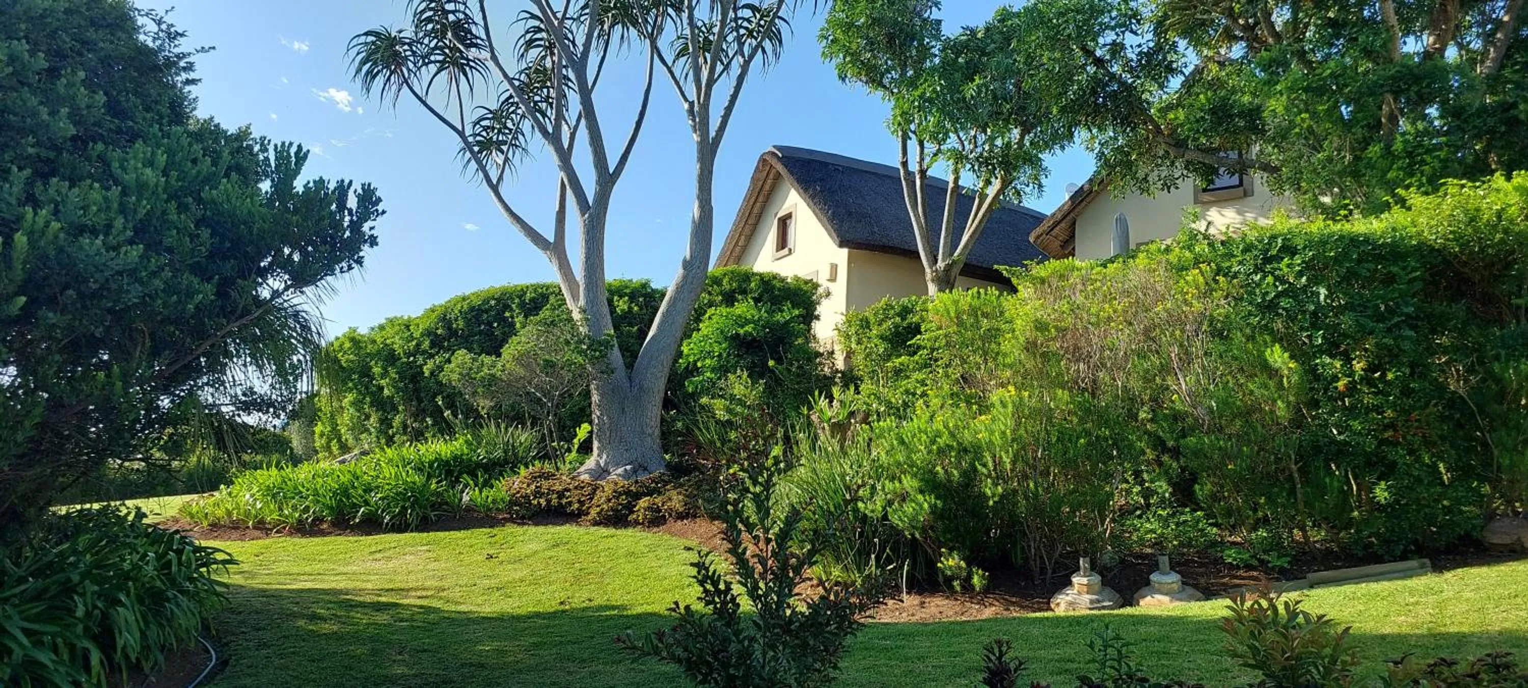 Garden view in Paradise Cove